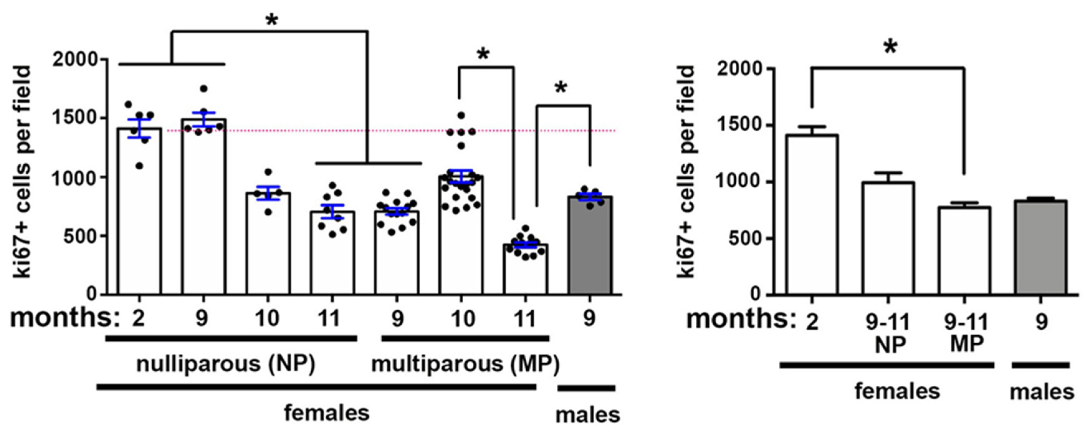 Ijms 21 05172 g002 Ijms 21 05172 g002