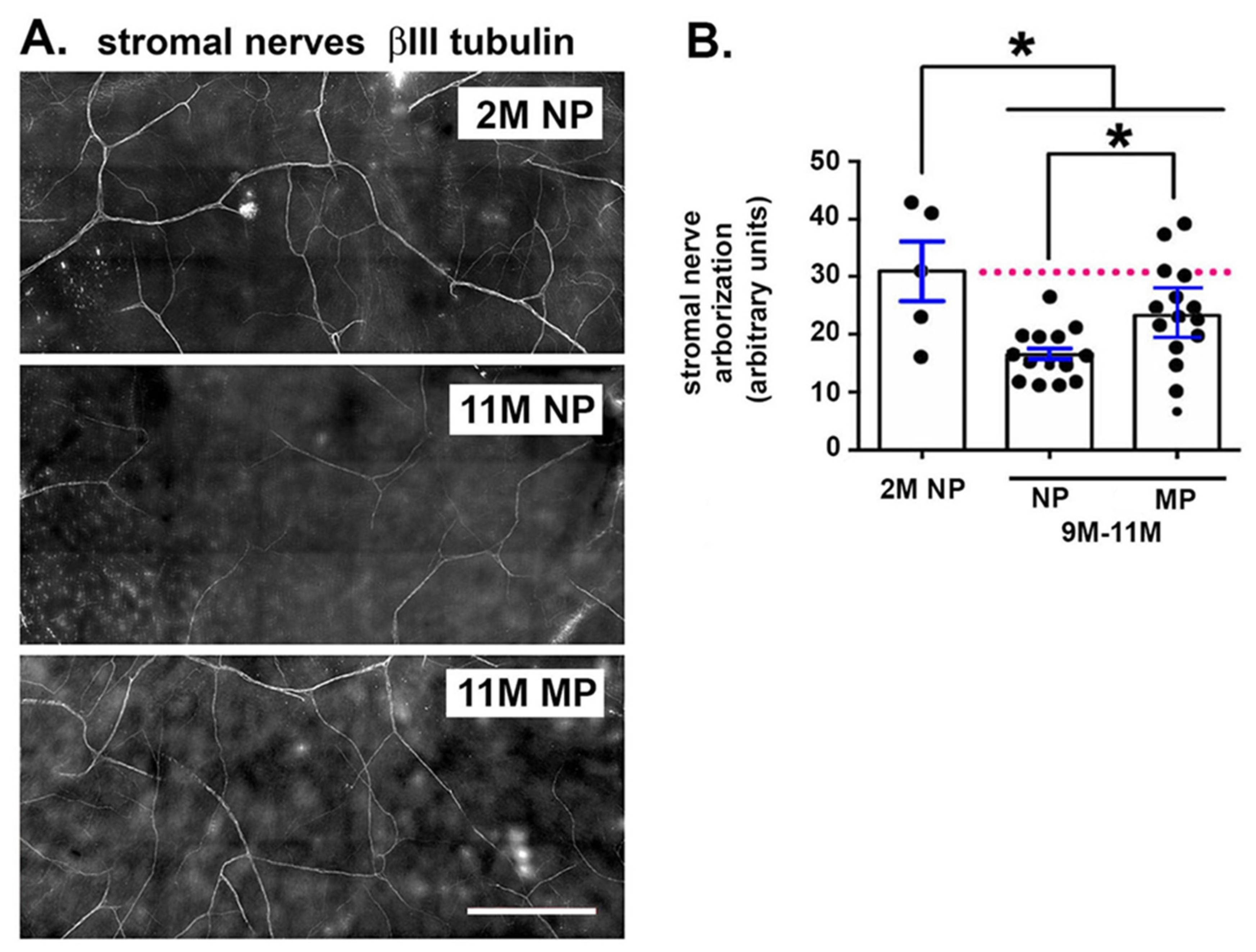 Ijms 21 05172 g004 Ijms 21 05172 g004