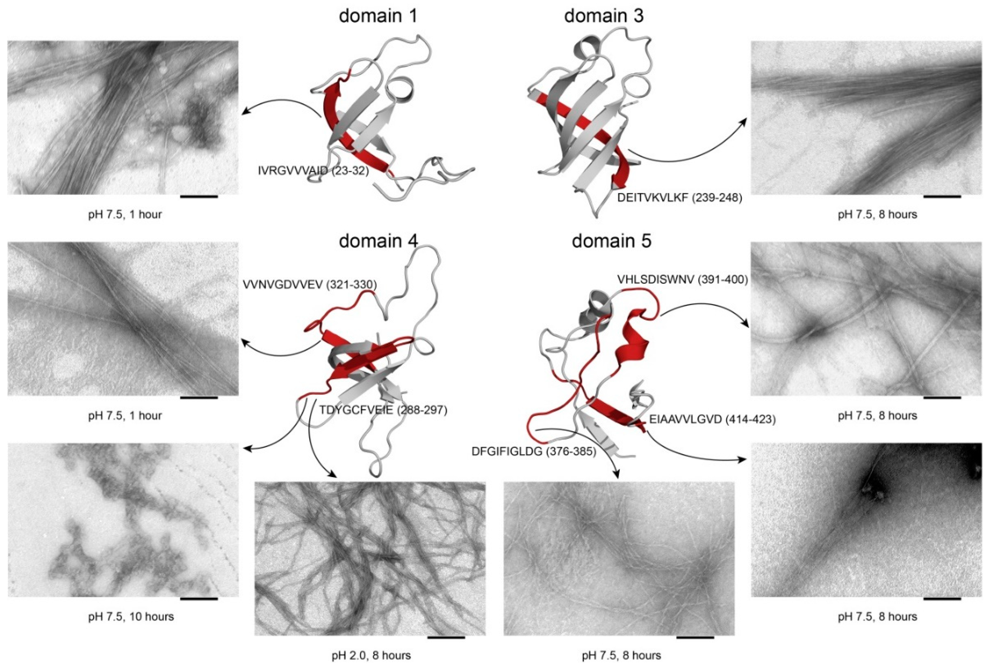 Ijms 21 05199 g004 Ijms 21 05199 g004