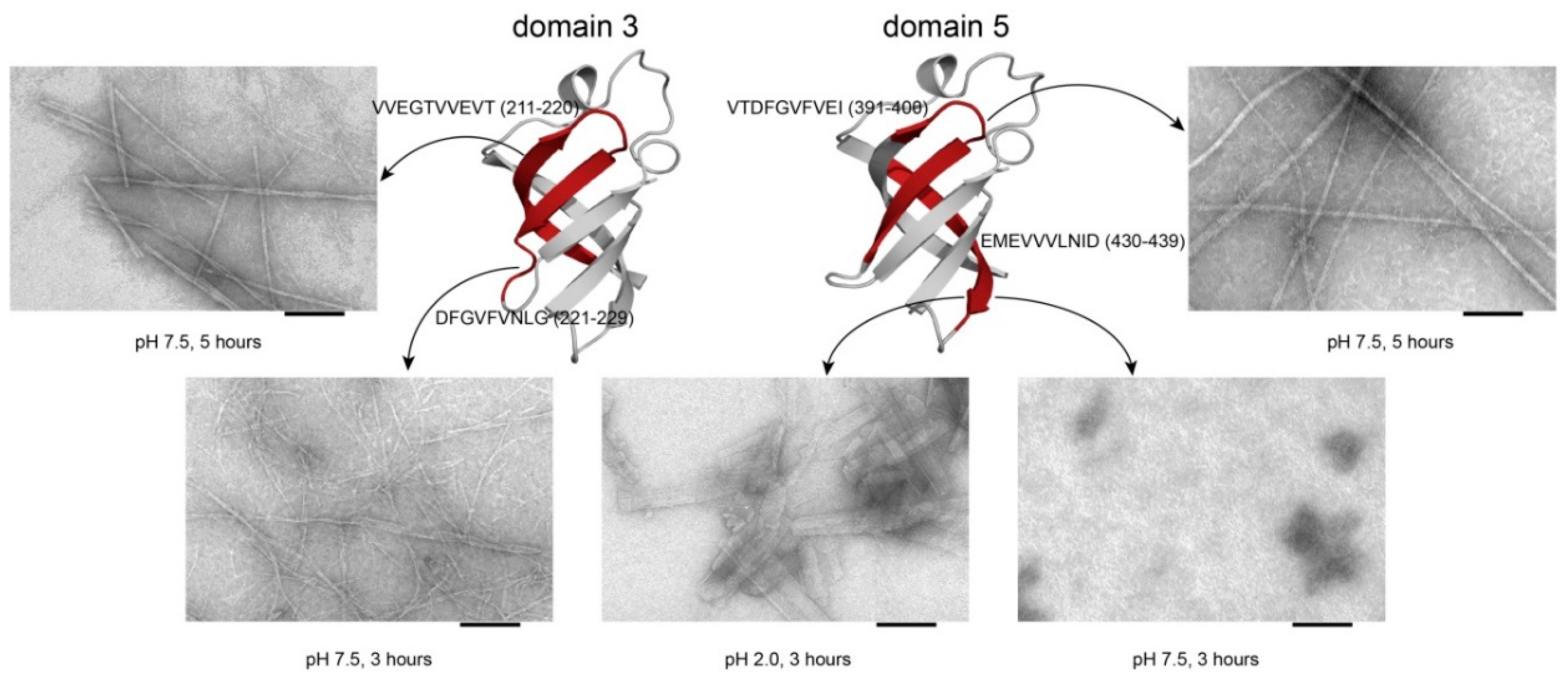 Ijms 21 05199 g005 Ijms 21 05199 g005