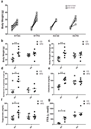 Ijms Free Full Text Loss Of Caveolin 1 Is Associated With A Decrease In Beta Cell Death In Mice On A High Fat Diet Html