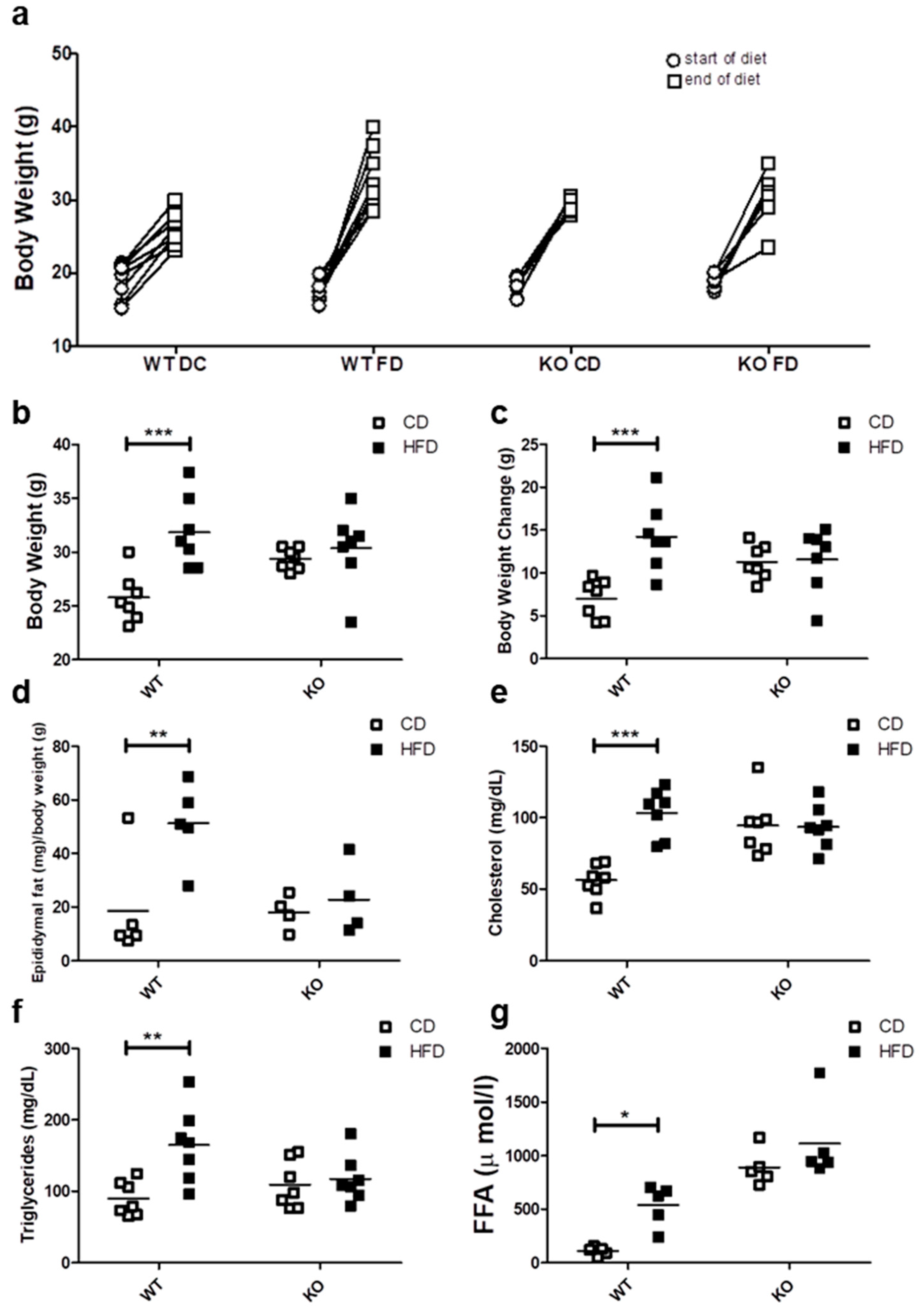 Ijms Free Full Text Loss Of Caveolin 1 Is Associated With A Decrease In Beta Cell Death In Mice On A High Fat Diet Html