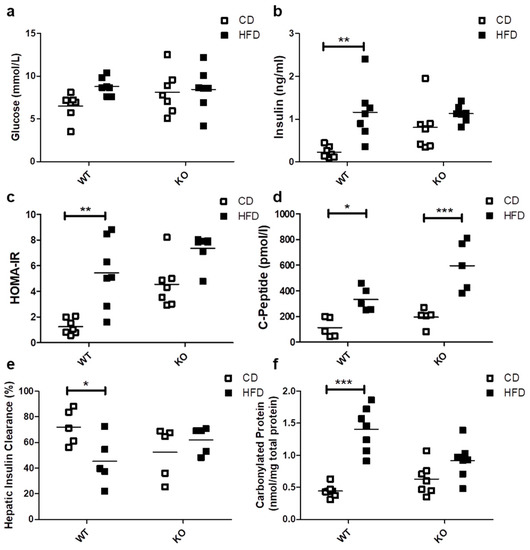 Ijms Free Full Text Loss Of Caveolin 1 Is Associated With A Decrease In Beta Cell Death In Mice On A High Fat Diet Html