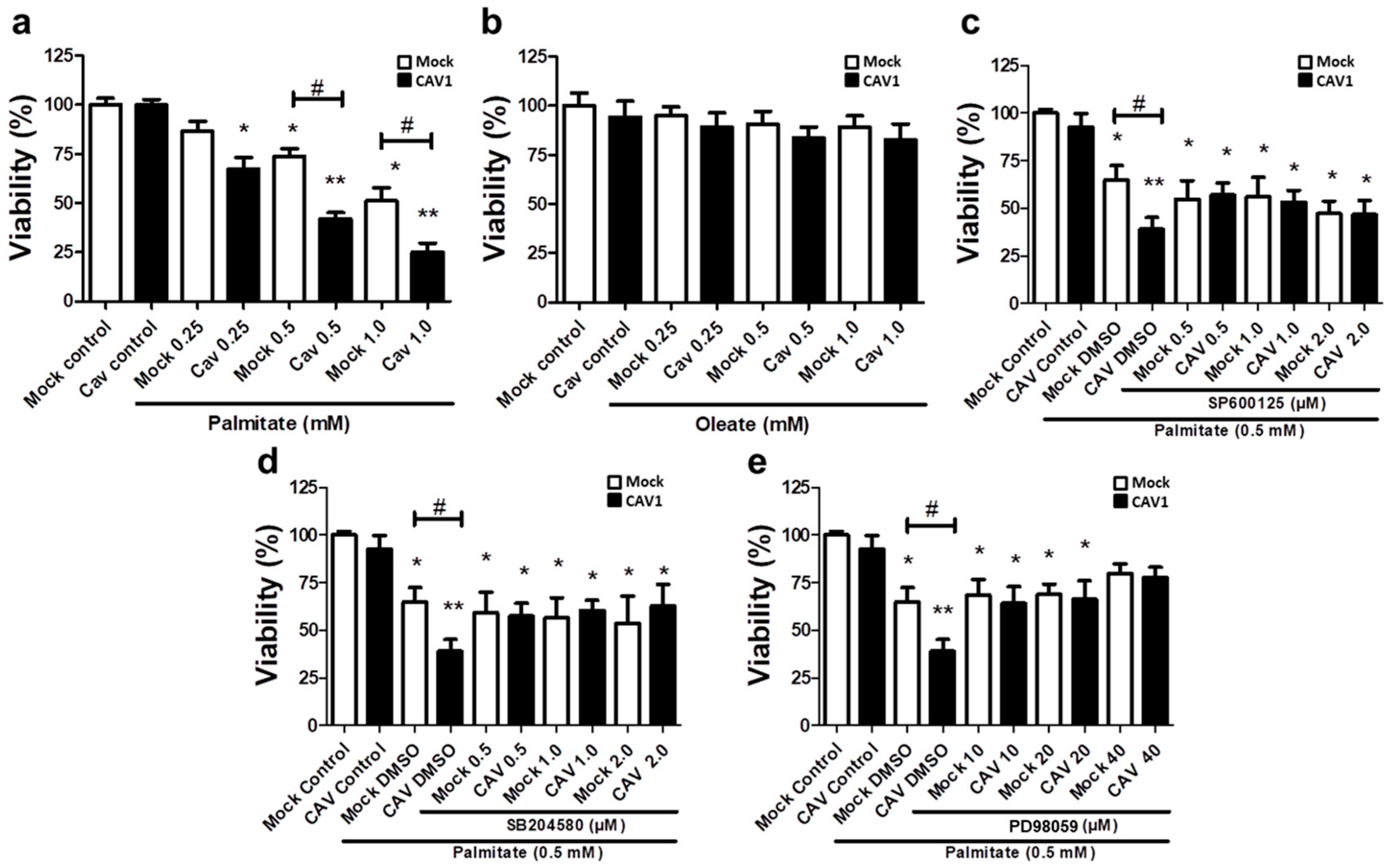 Ijms Free Full Text Loss Of Caveolin 1 Is Associated With A Decrease In Beta Cell Death In Mice On A High Fat Diet Html