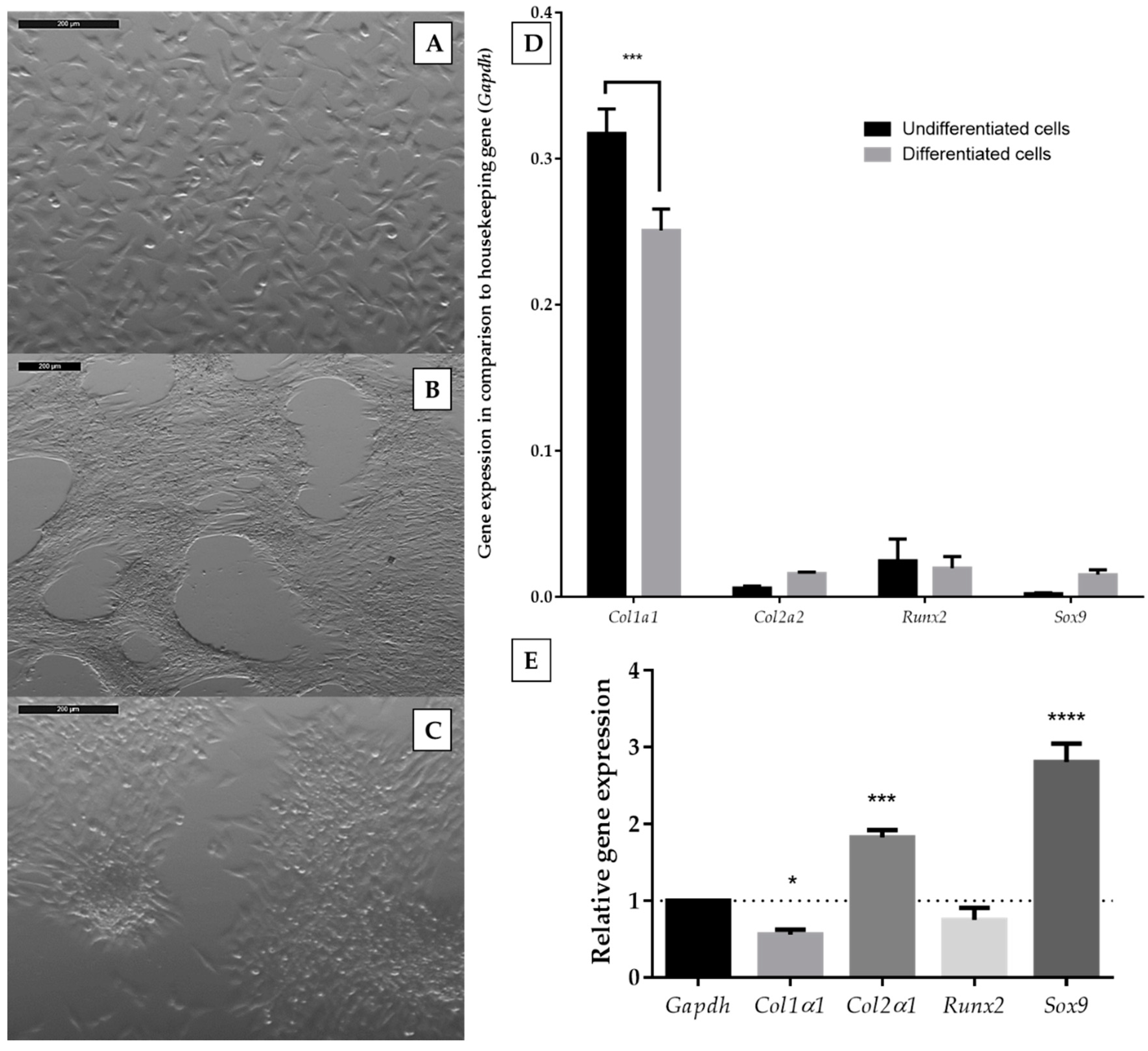 Ijms 21 05227 g001 Ijms 21 05227 g001