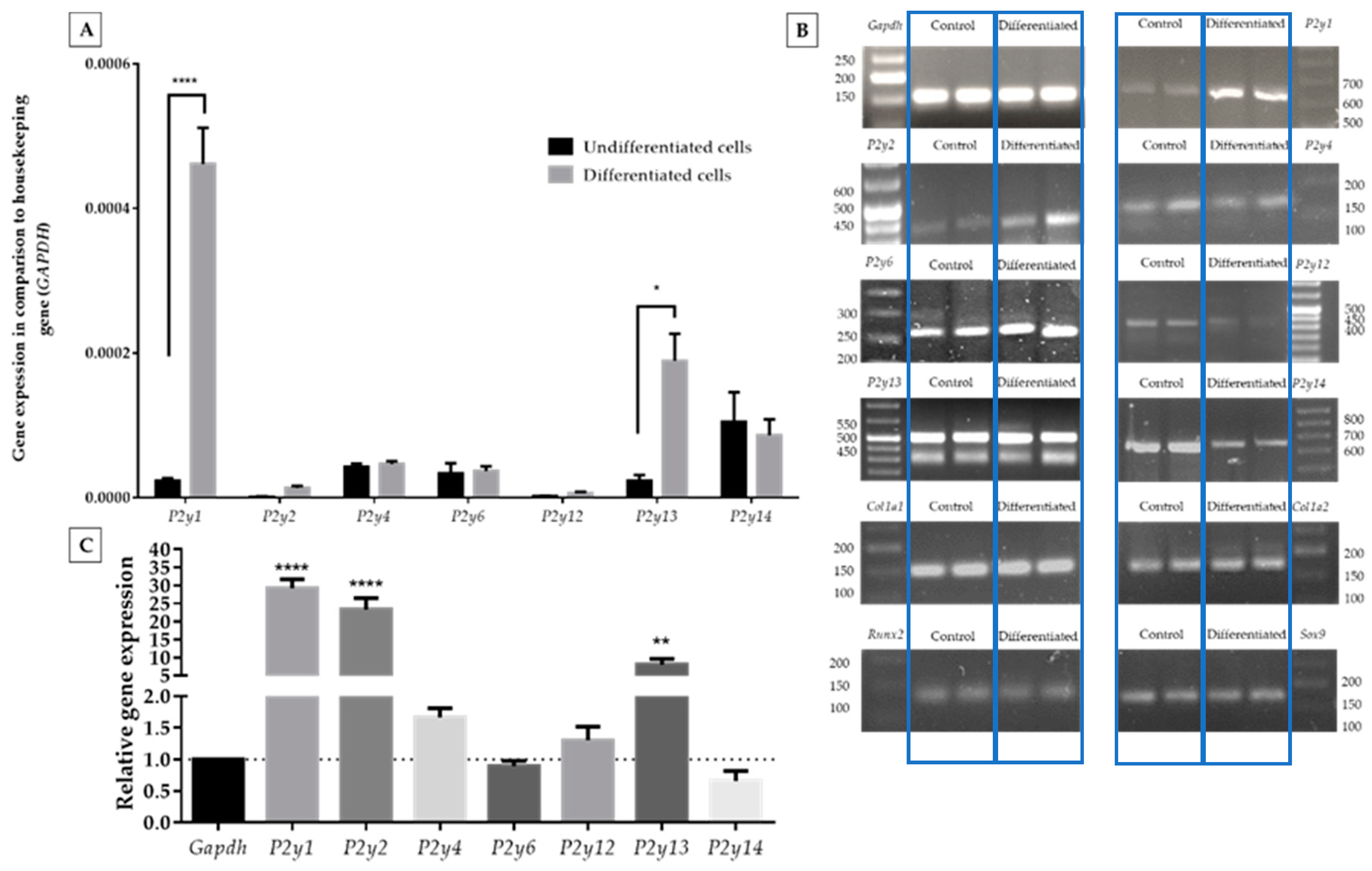 Ijms 21 05227 g002 Ijms 21 05227 g002