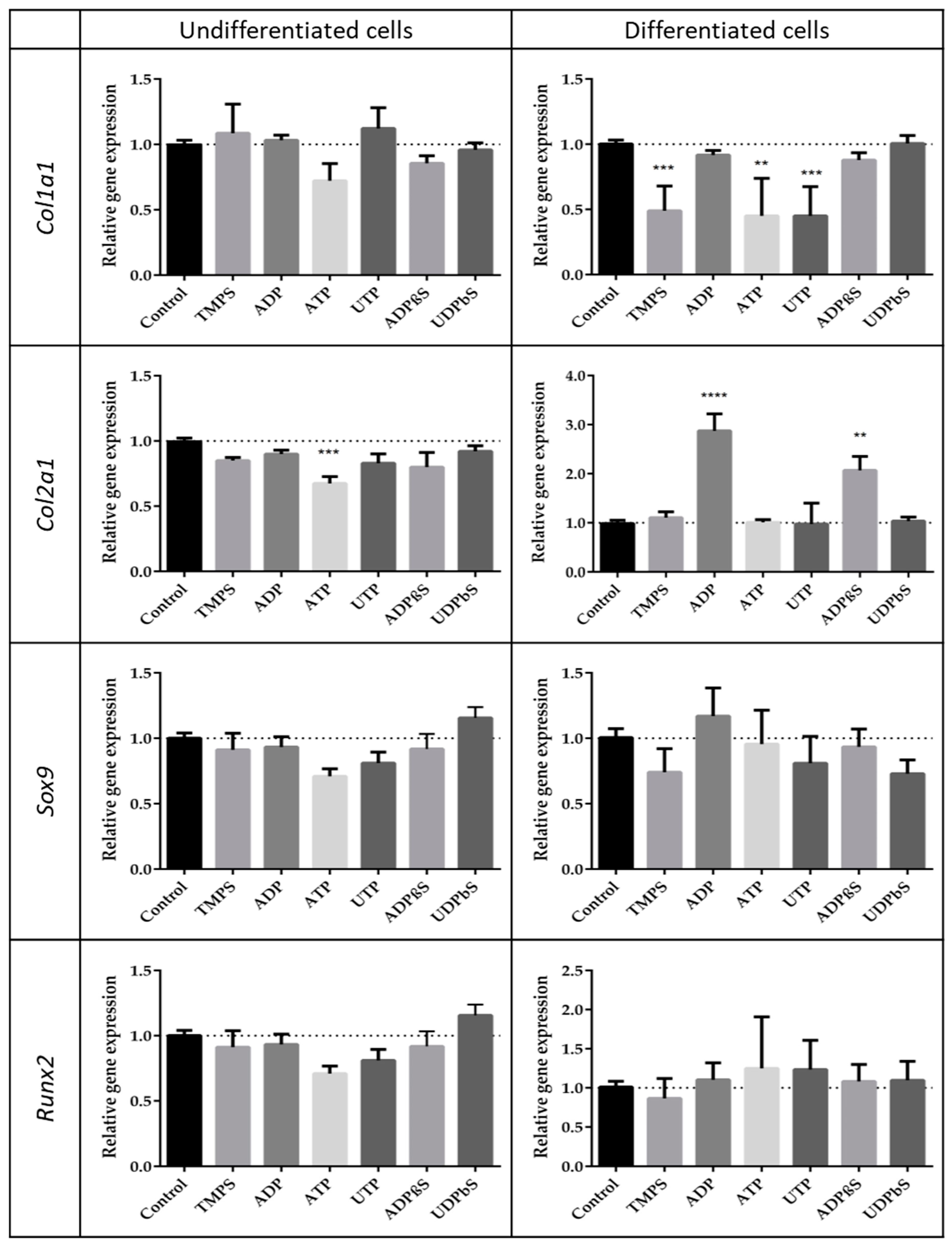 Ijms 21 05227 g004 Ijms 21 05227 g004