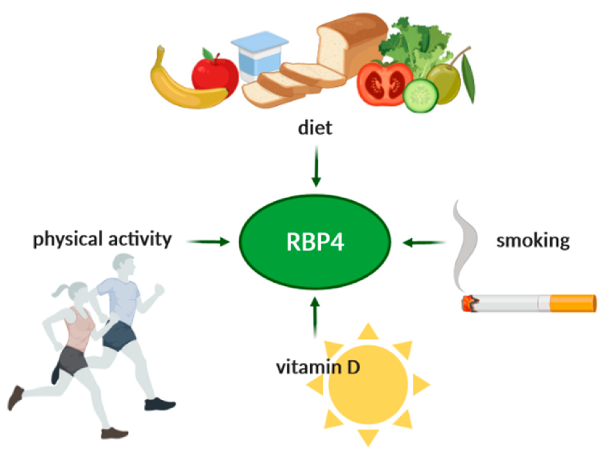 IJMS | Free Full-Text | Is the Retinol-Binding Protein 4 a Possible Risk  Factor for Cardiovascular Diseases in Obesity?