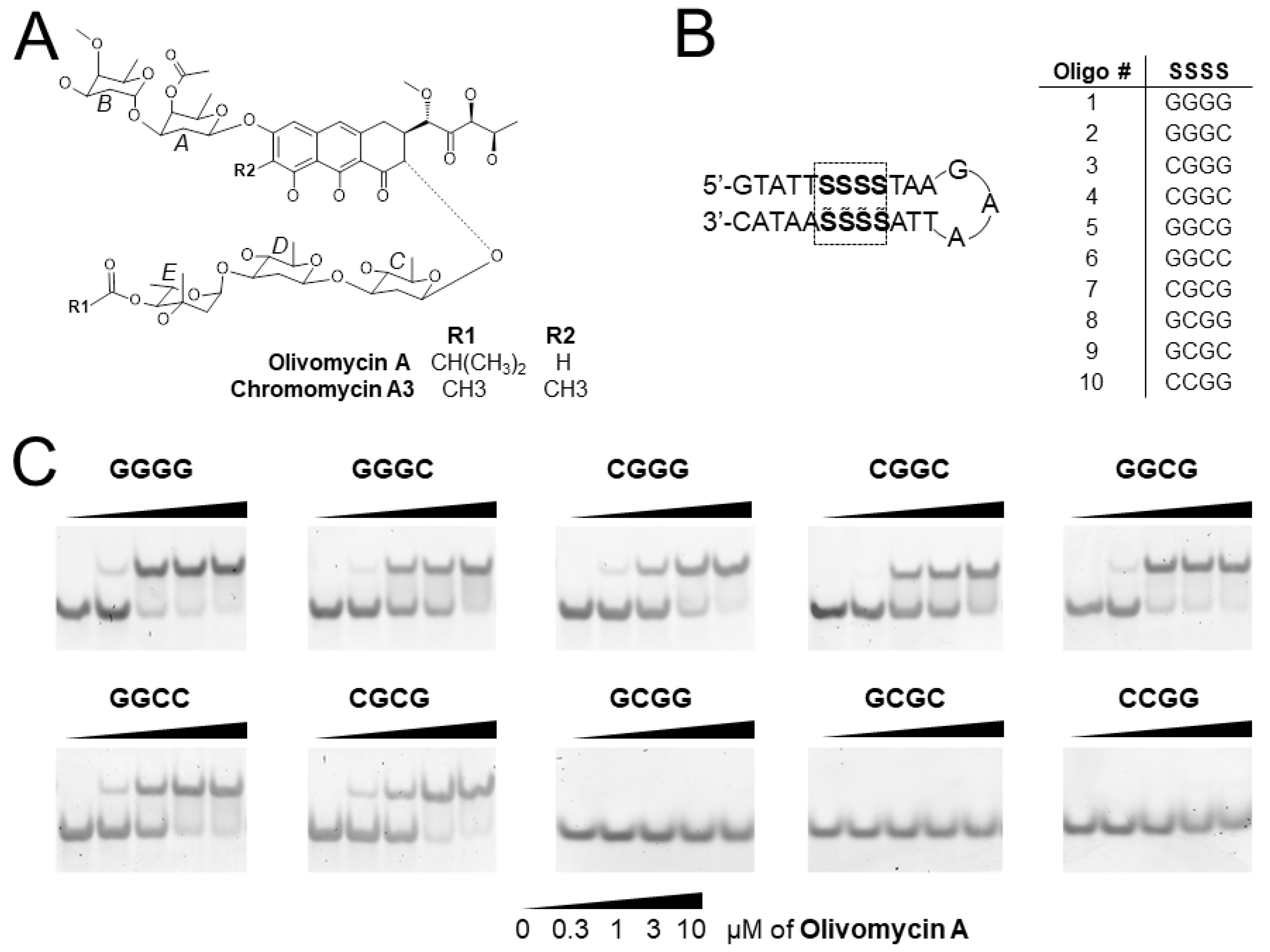 Ijms 21 05299 g001 Ijms 21 05299 g001