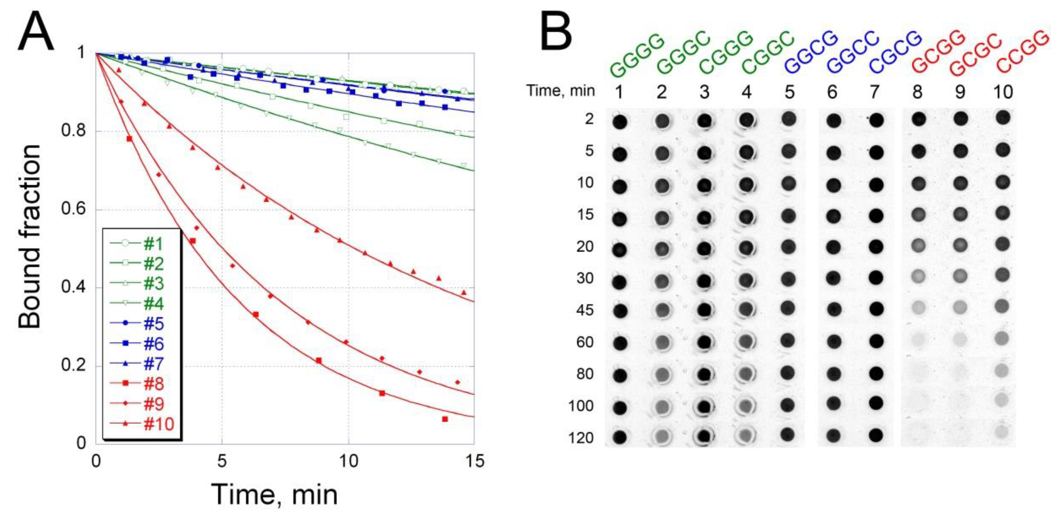 Ijms 21 05299 g003 Ijms 21 05299 g003