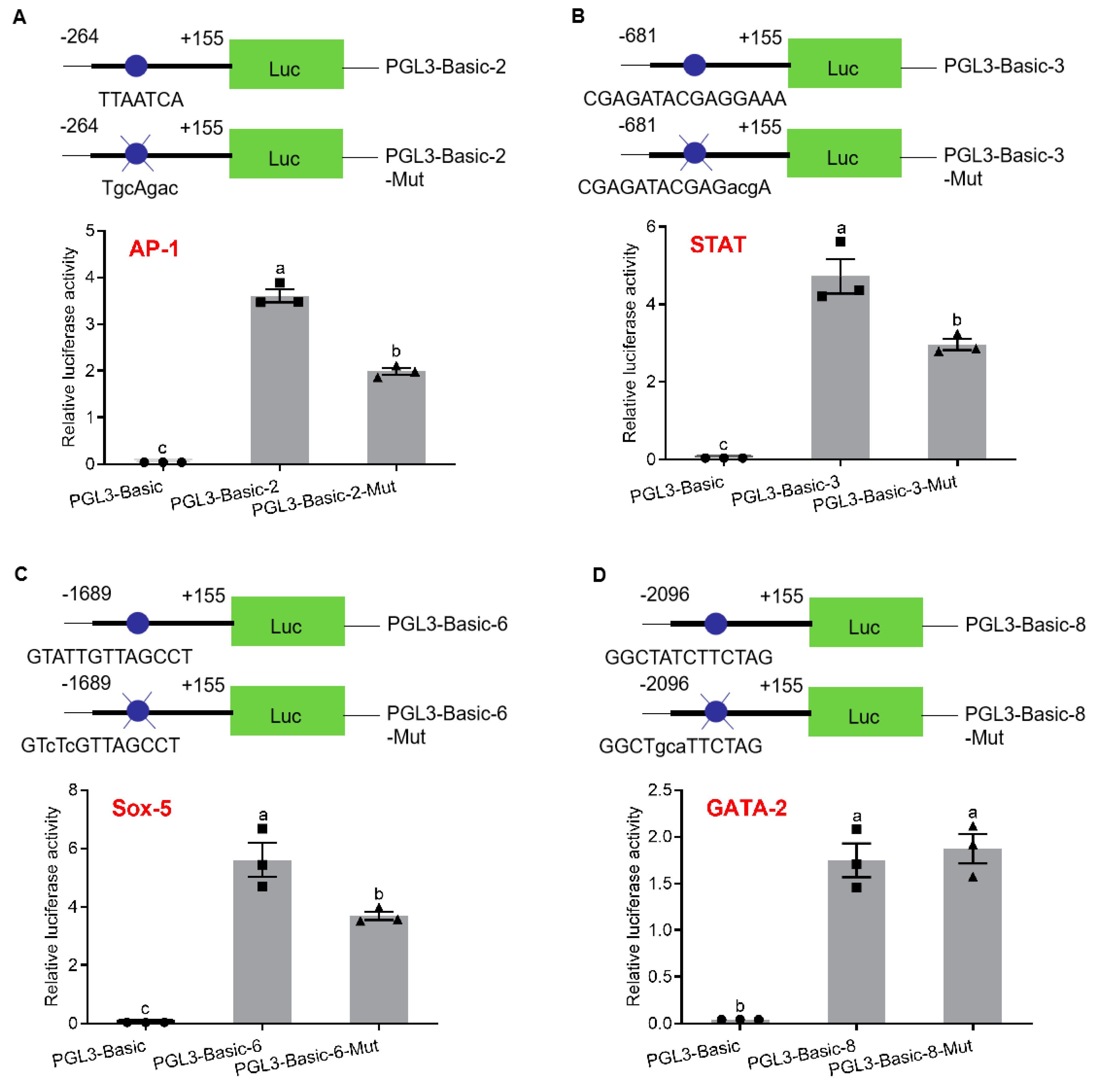 Ijms 21 05300 g003 Ijms 21 05300 g003