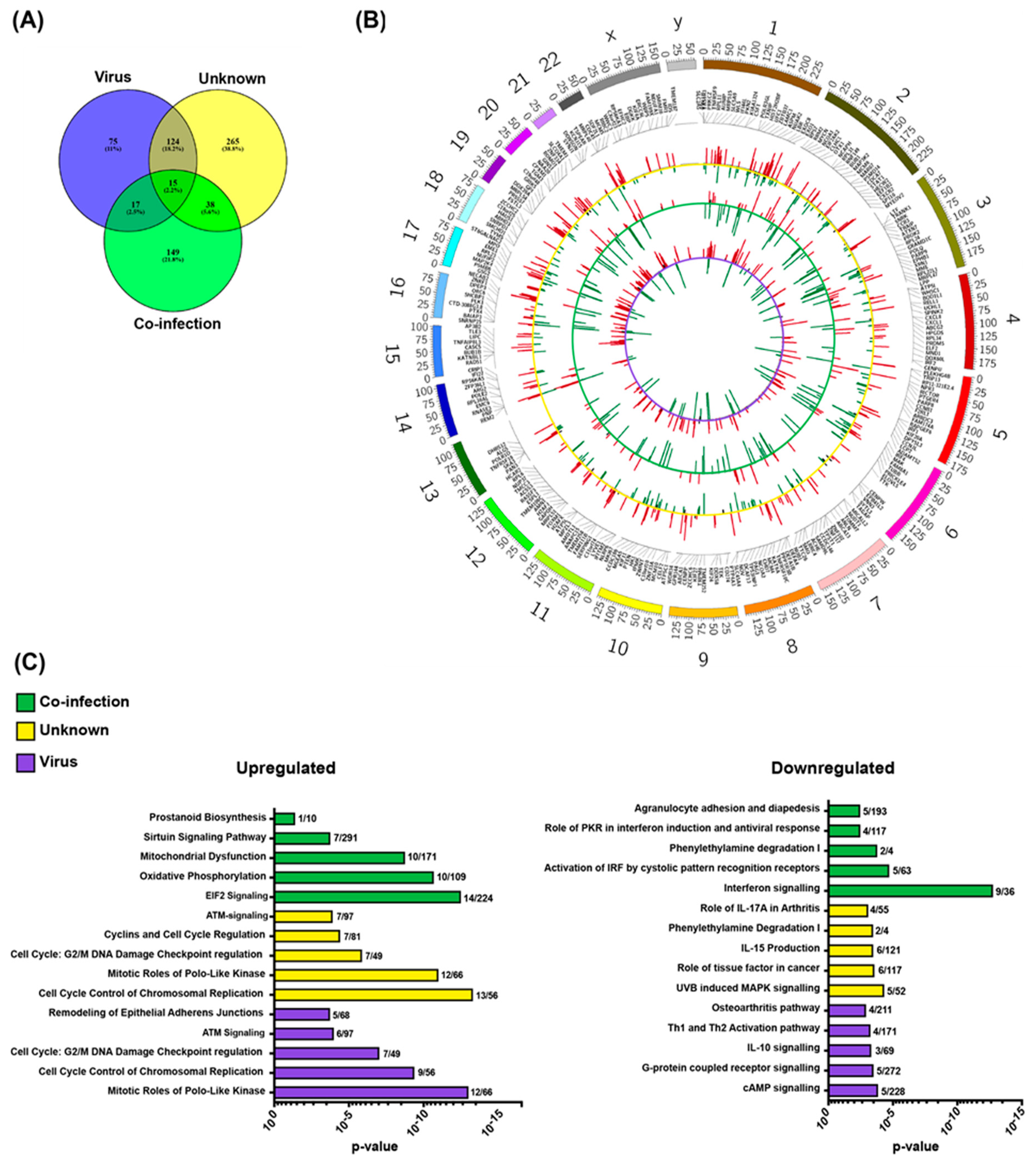 Ijms 21 05305 g002 Ijms 21 05305 g002