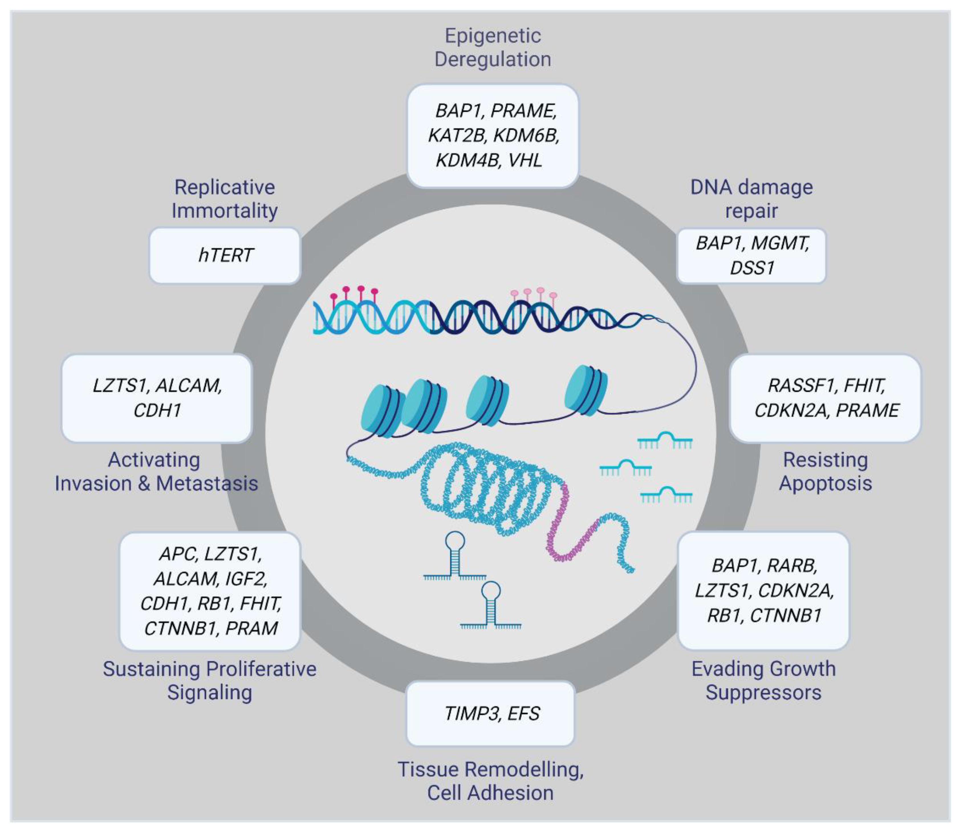 Эпигенетика. Epigenetics. Генетика и эпигенетика. Генетика и эпигенетика различия. Эпигенетика картинки.