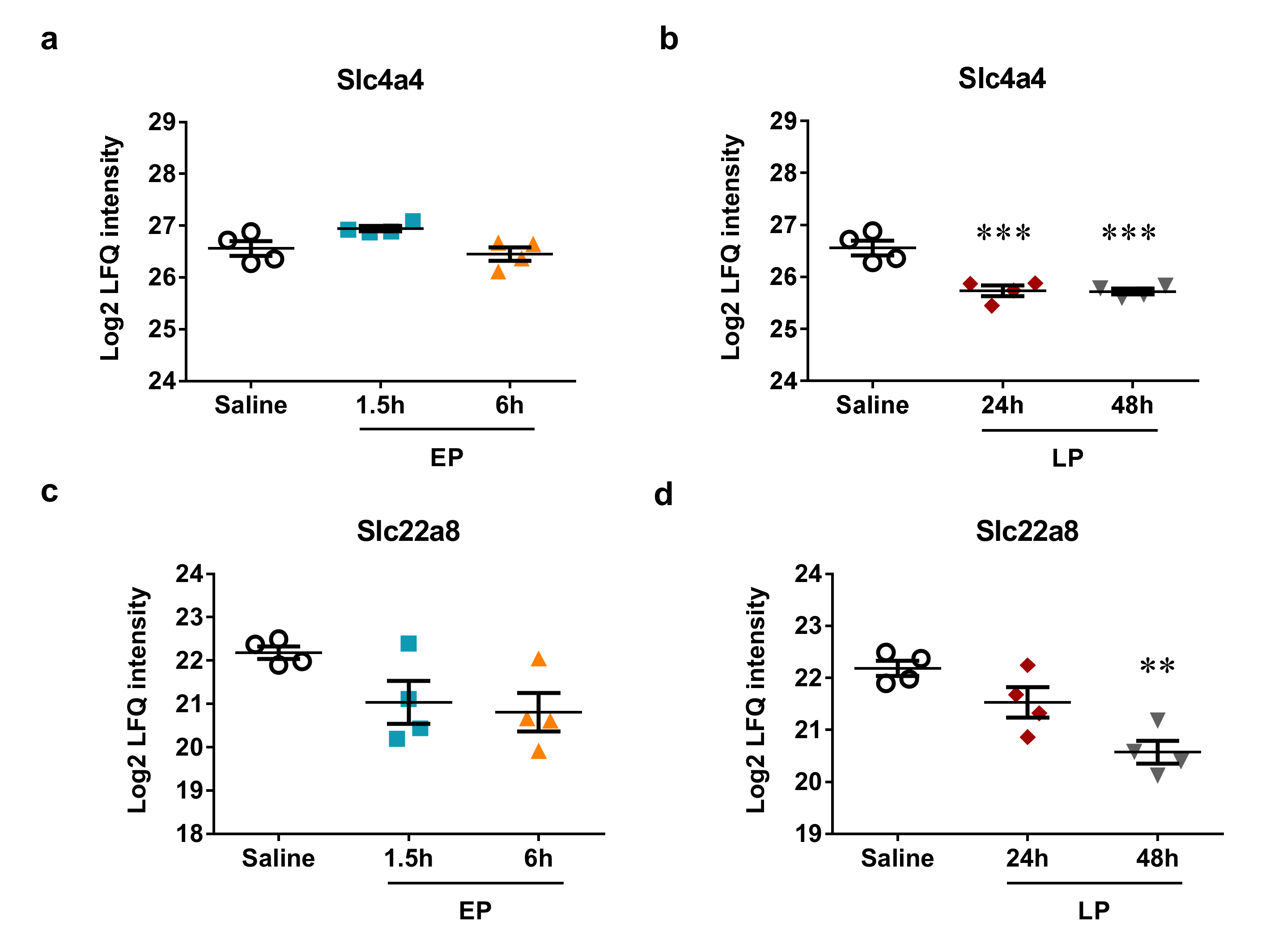 Ijms 21 05316 g009 Ijms 21 05316 g009