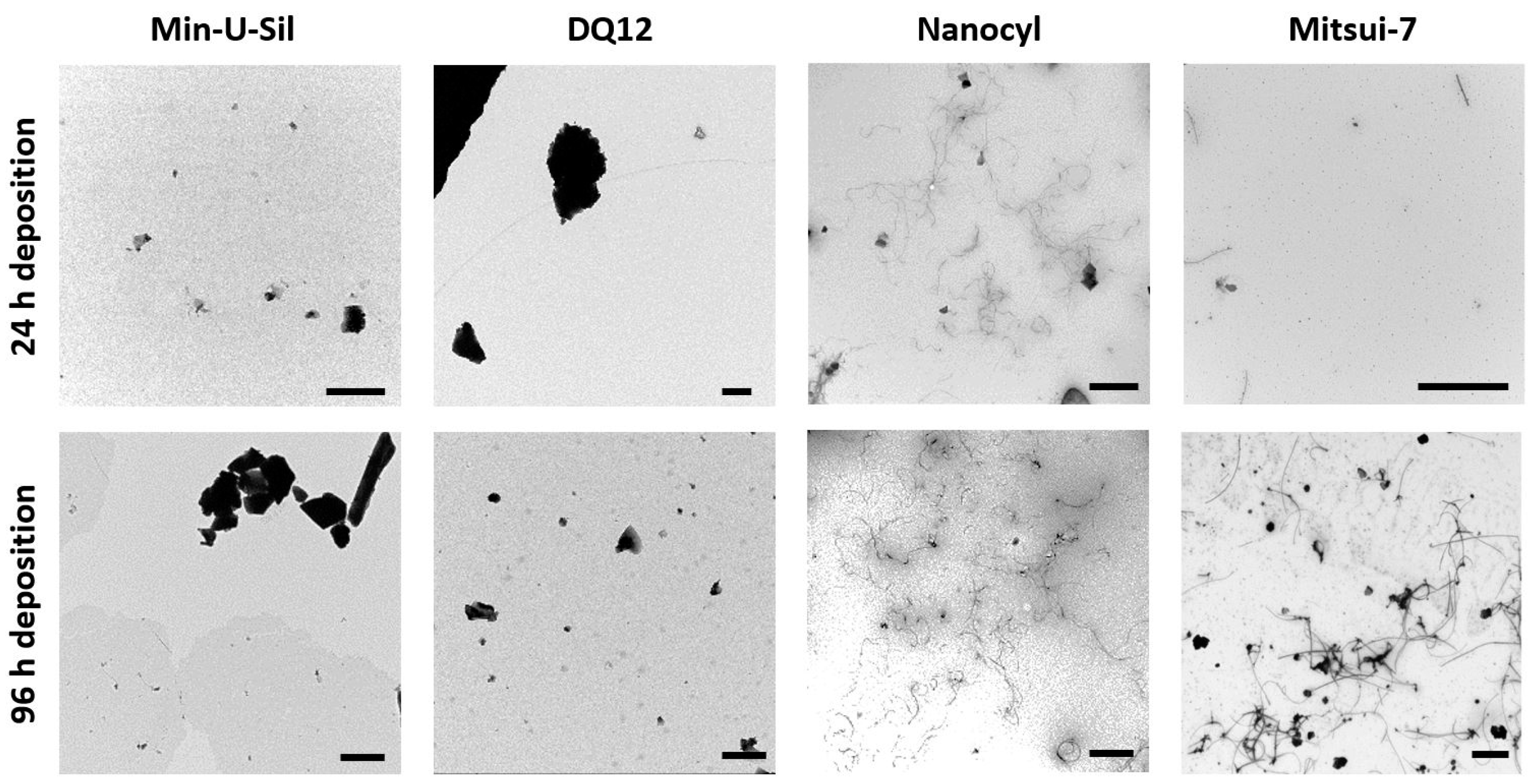 Ijms Free Full Text An In Vitro Lung System To Assess The Proinflammatory Hazard Of Carbon Nanotube Aerosols Html