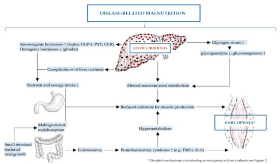 IJMS | Free Full-Text | Molecular Mechanism Contributing to ...