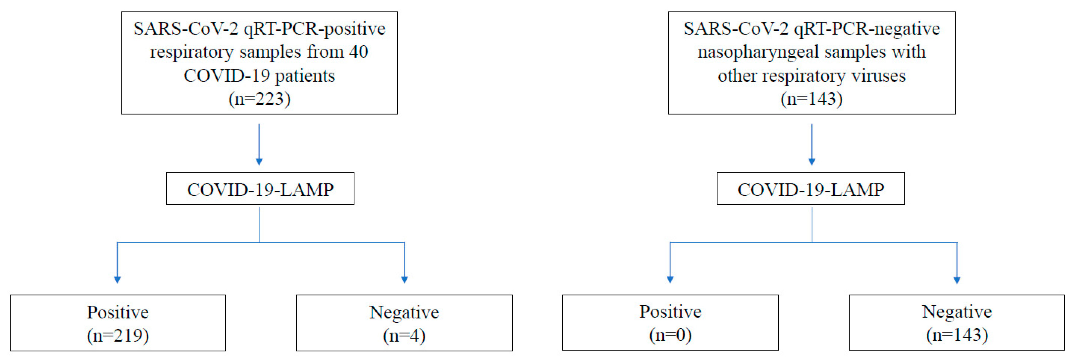 Ijms 21 05380 g003 Ijms 21 05380 g003