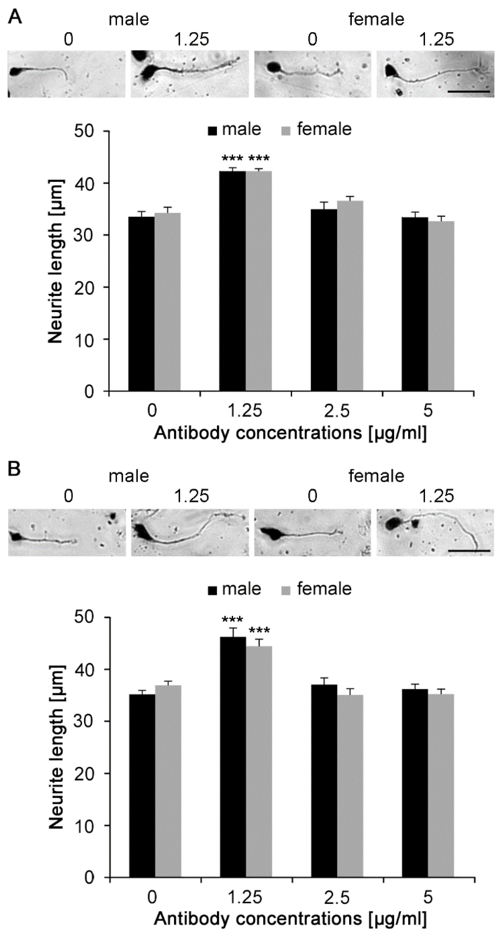 Ijms 21 05417 g003 Ijms 21 05417 g003