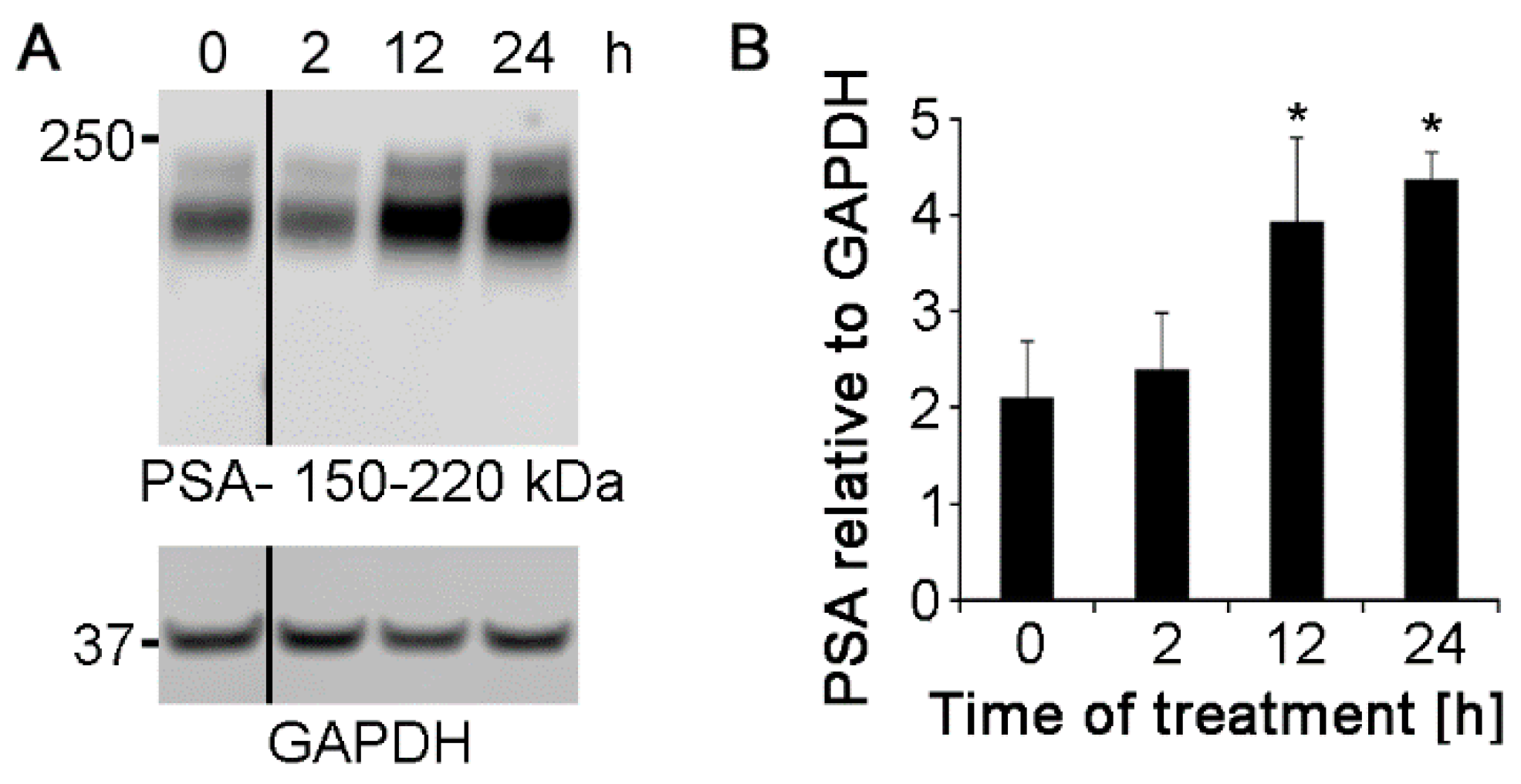 Ijms 21 05417 g006 Ijms 21 05417 g006