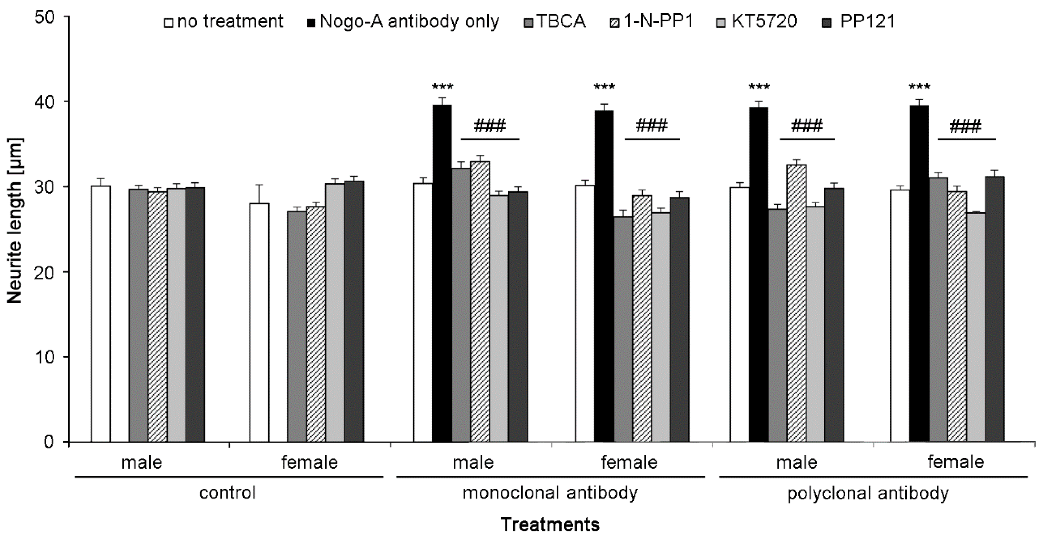 Ijms 21 05417 g007 Ijms 21 05417 g007