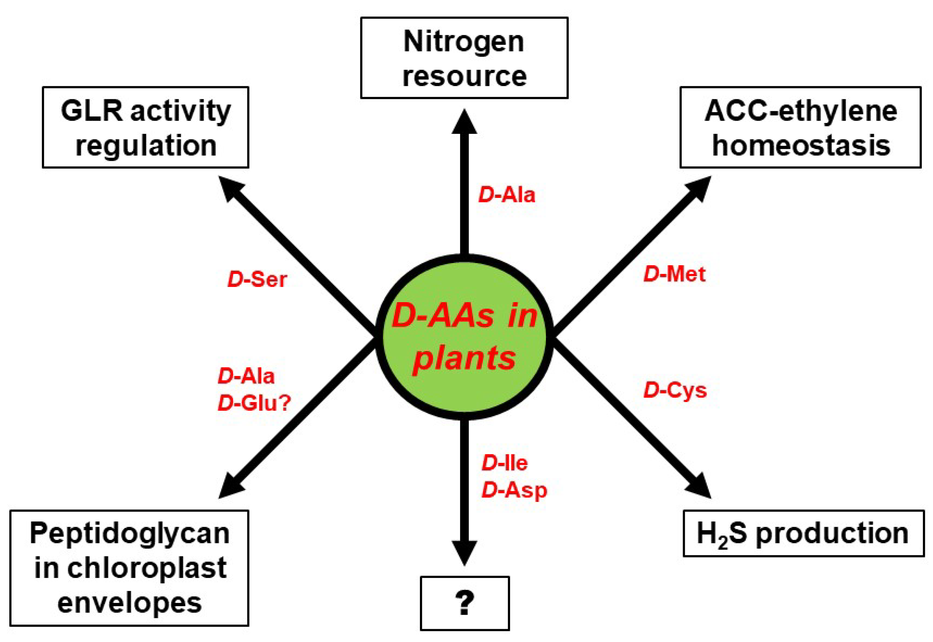 Ijms 21 05421 g003 Ijms 21 05421 g003