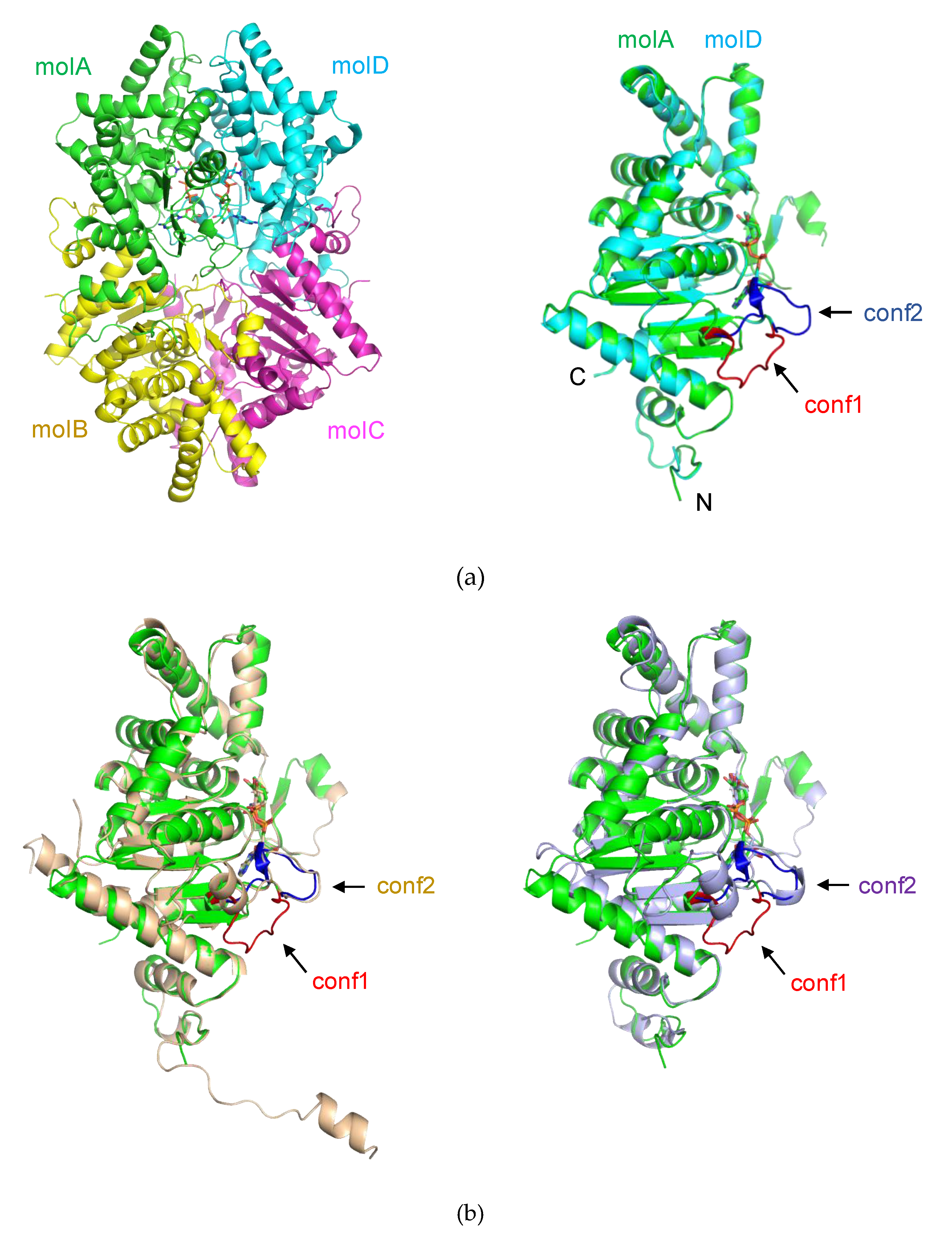 Ijms 21 05509 g001 Ijms 21 05509 g001