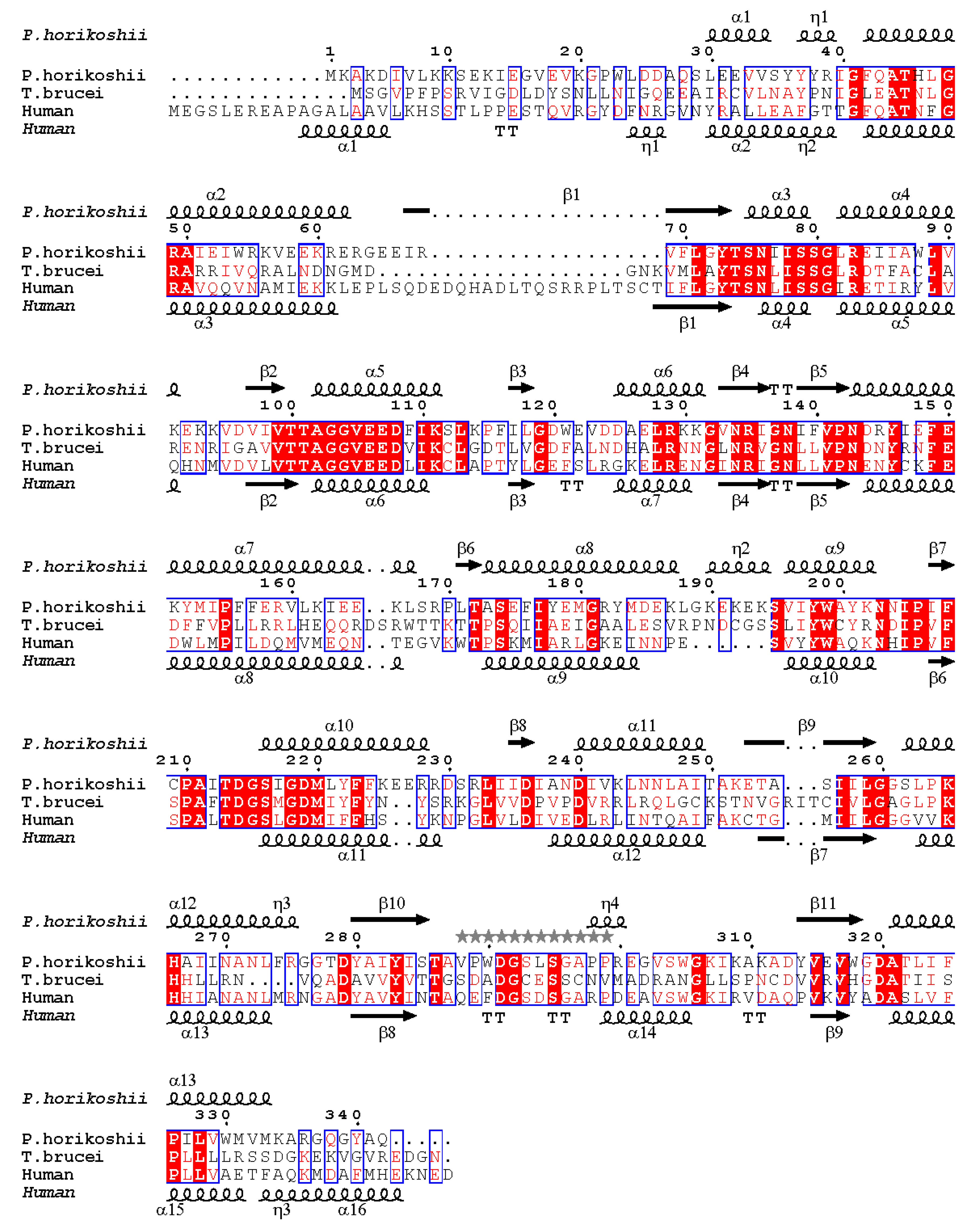 Ijms 21 05509 g002 Ijms 21 05509 g002