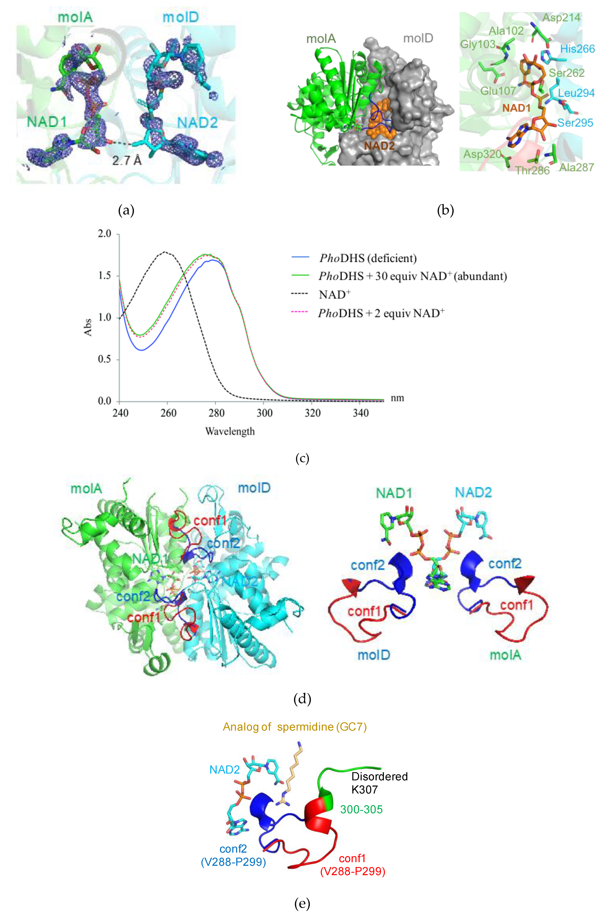 Ijms 21 05509 g003 Ijms 21 05509 g003