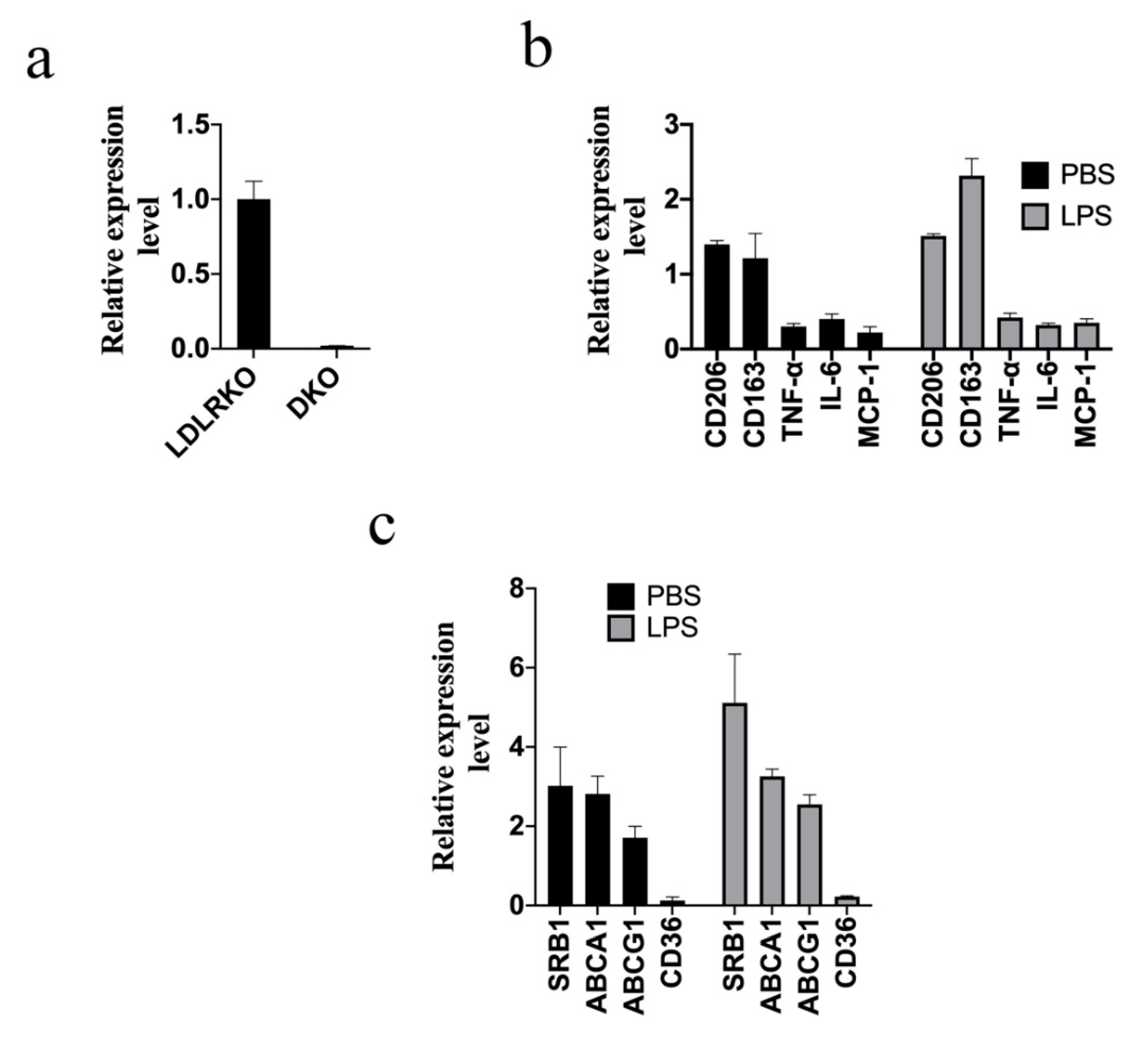 Ijms 21 05511 g002a Ijms 21 05511 g002a