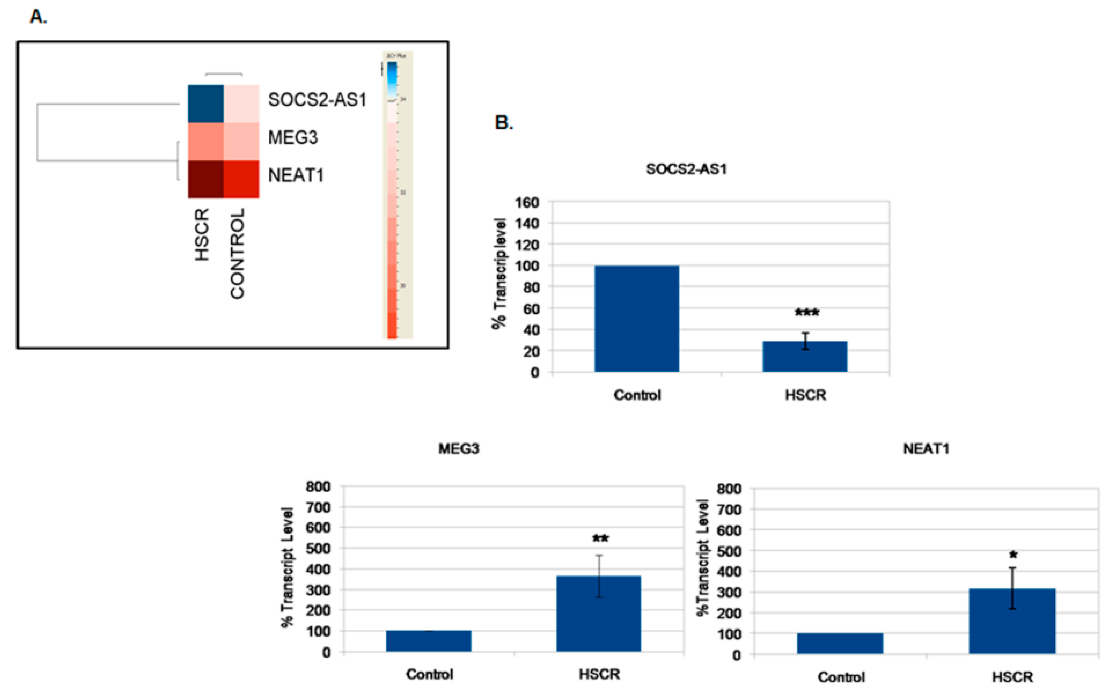 Ijms Free Full Text Identification Of New Potential Lncrna Biomarkers In Hirschsprung Disease Html