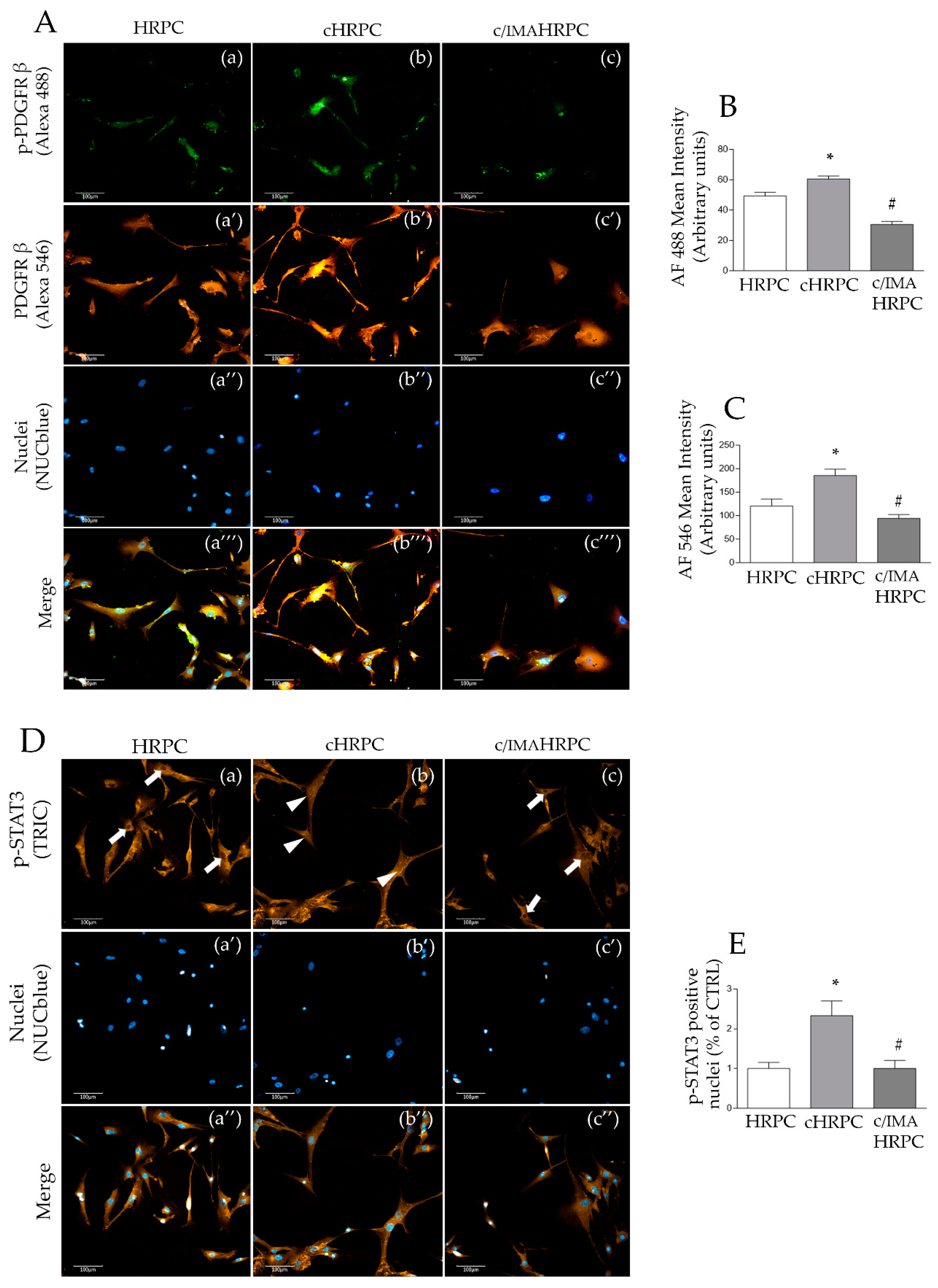Ijms 21 05557 g004 Ijms 21 05557 g004