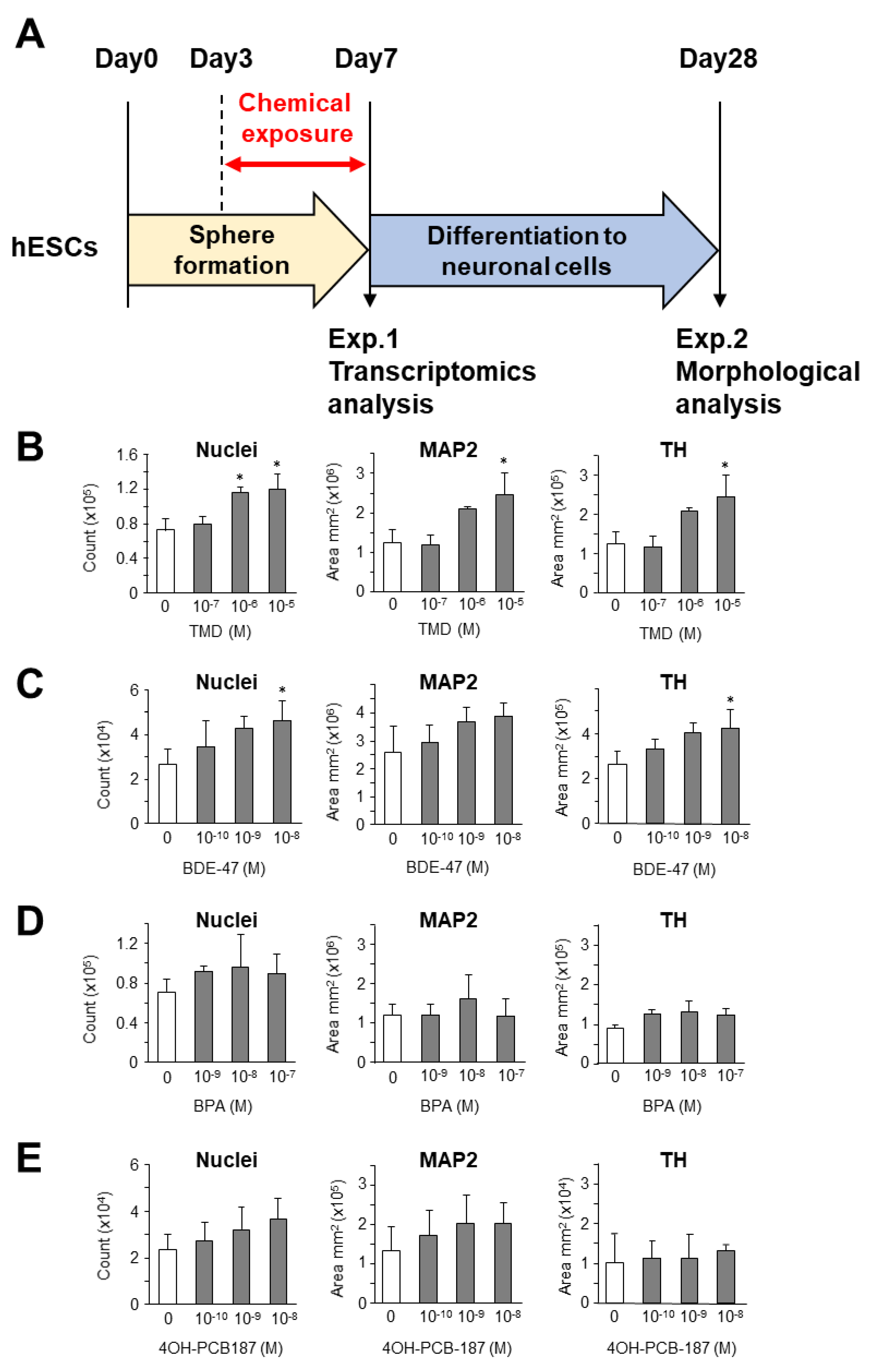 Ijms 21 05564 g001 Ijms 21 05564 g001