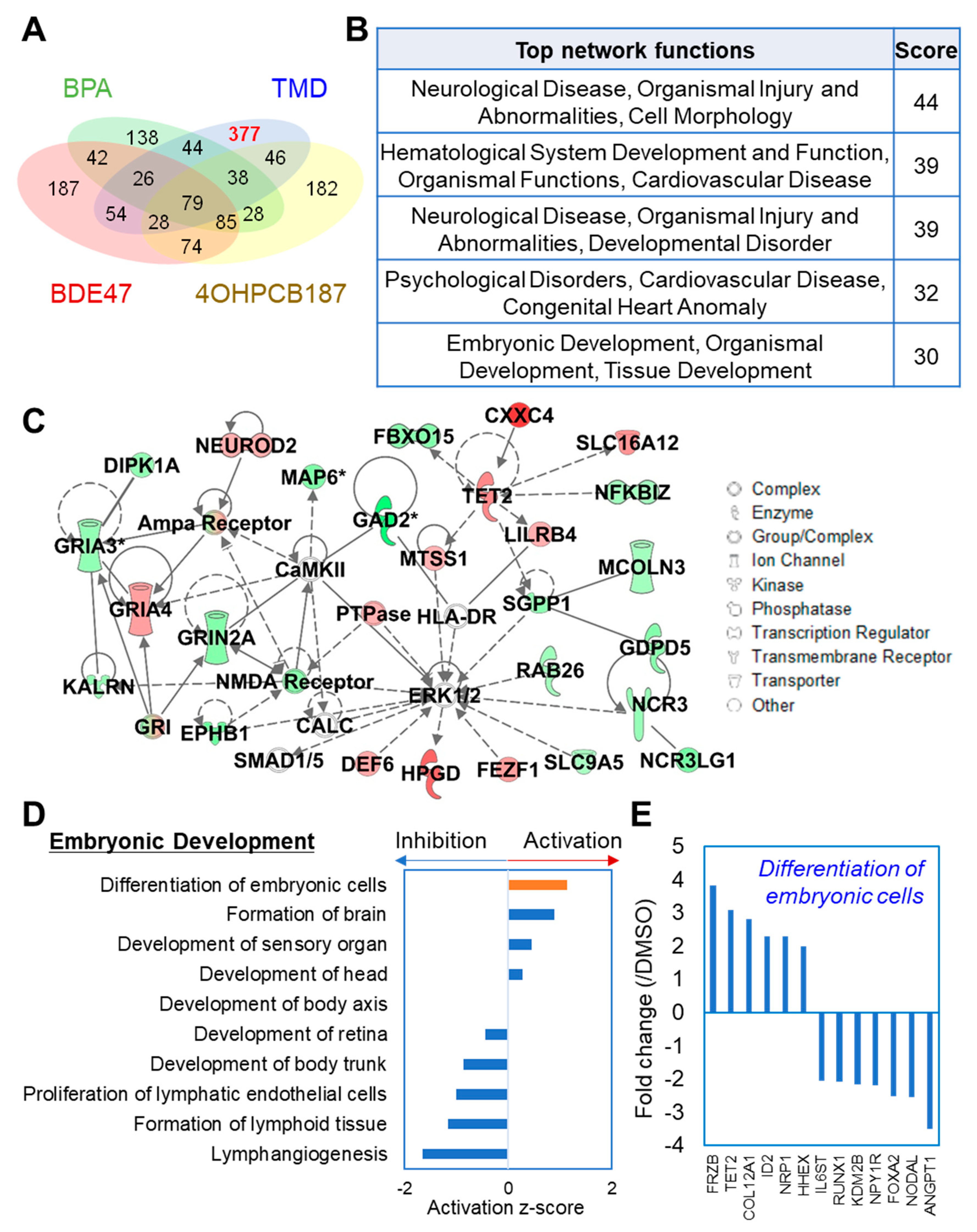 Ijms 21 05564 g003 Ijms 21 05564 g003