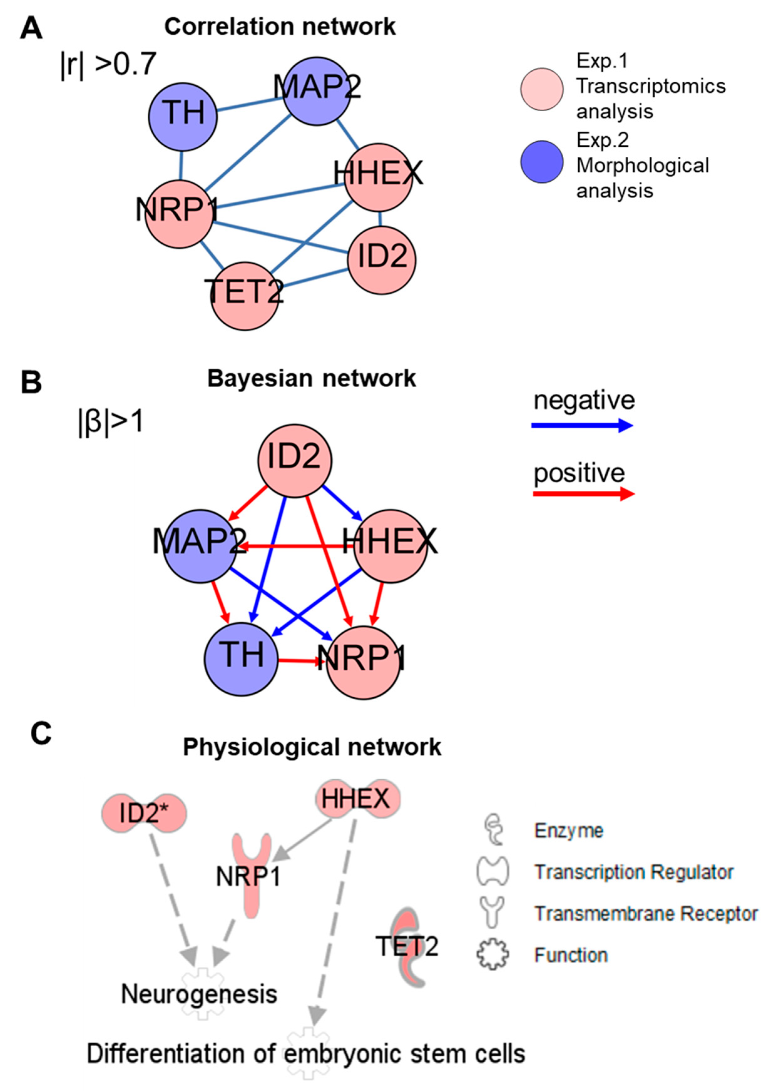 Ijms 21 05564 g004 Ijms 21 05564 g004