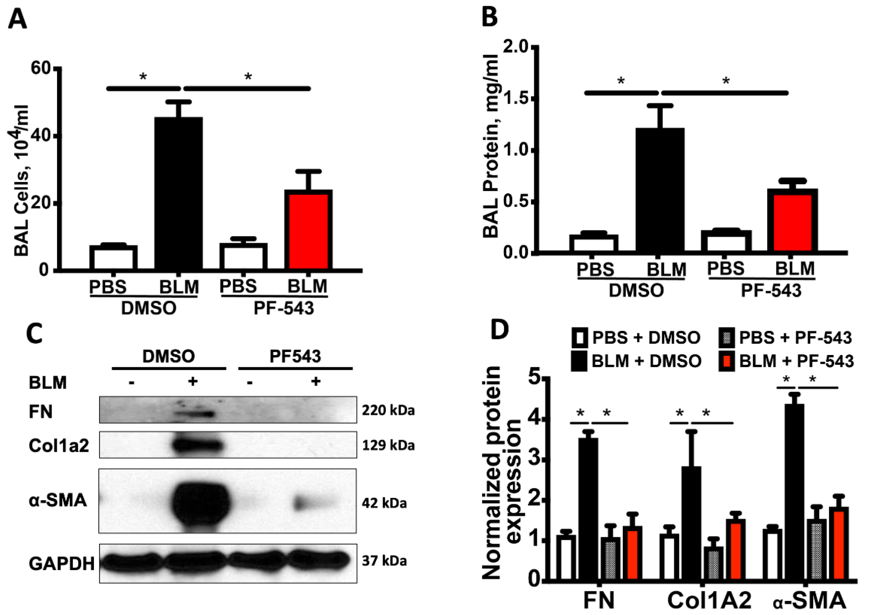 Ijms 21 05595 g003 Ijms 21 05595 g003