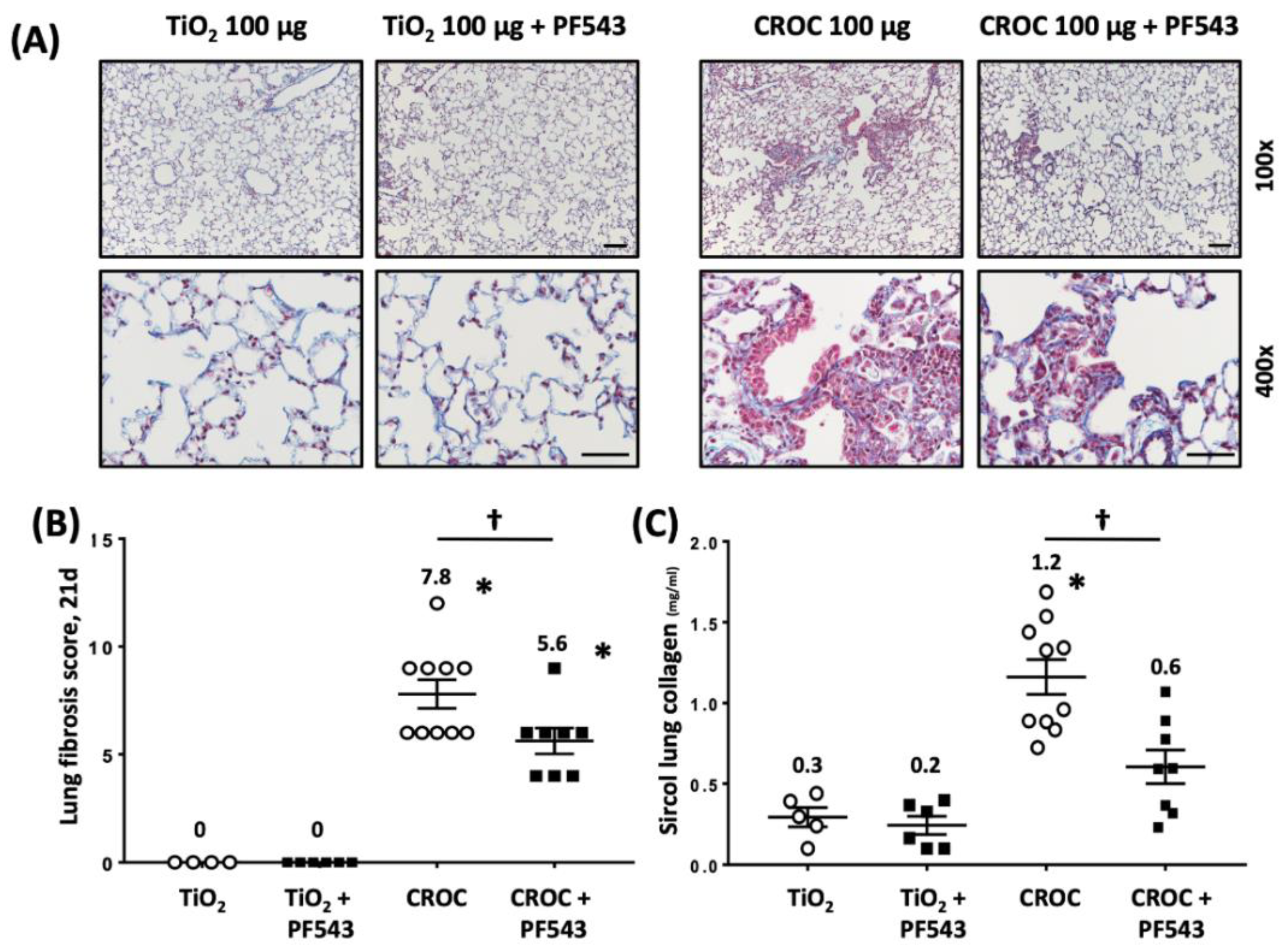 Ijms 21 05595 g004 Ijms 21 05595 g004