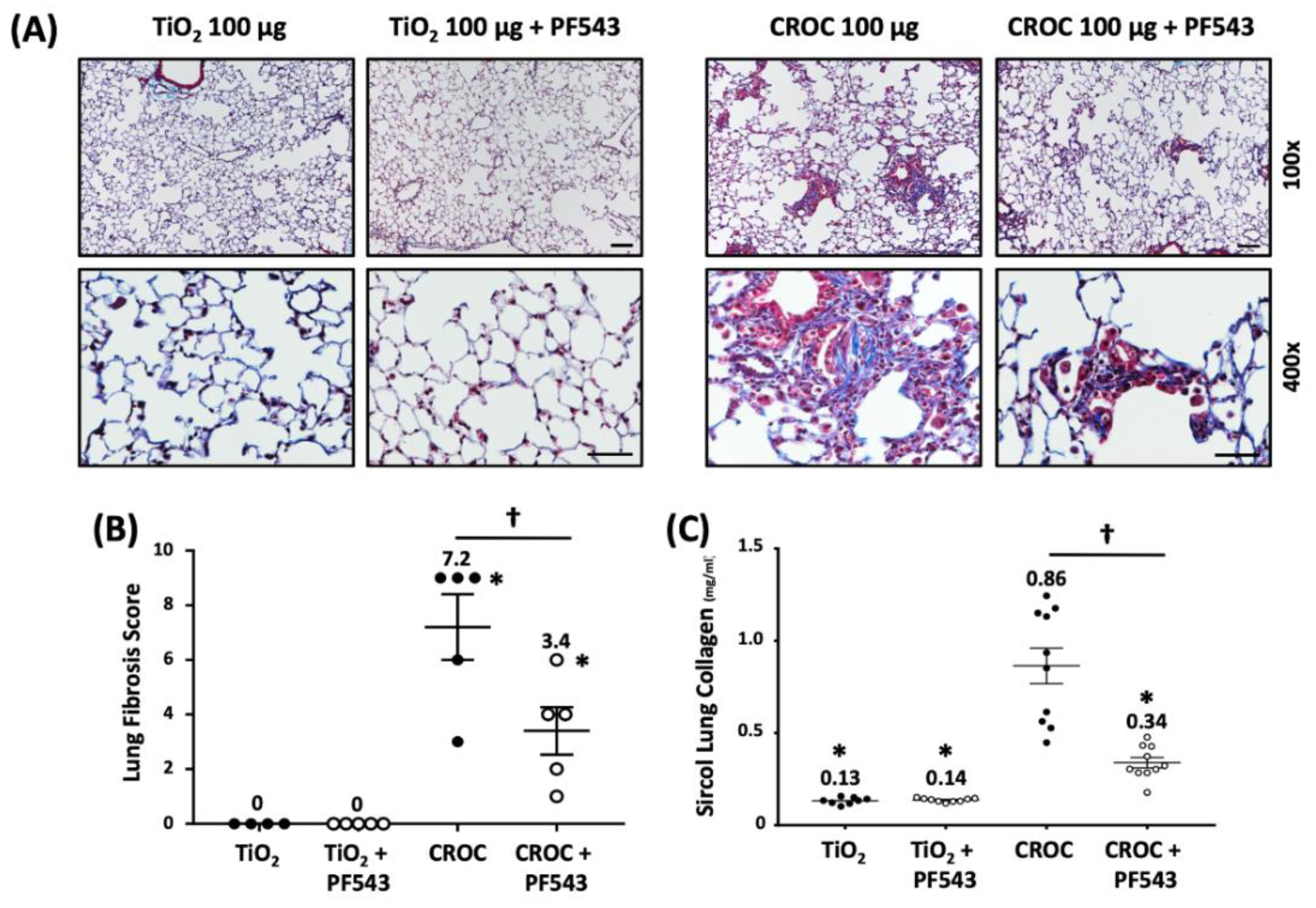 Ijms 21 05595 g005 Ijms 21 05595 g005