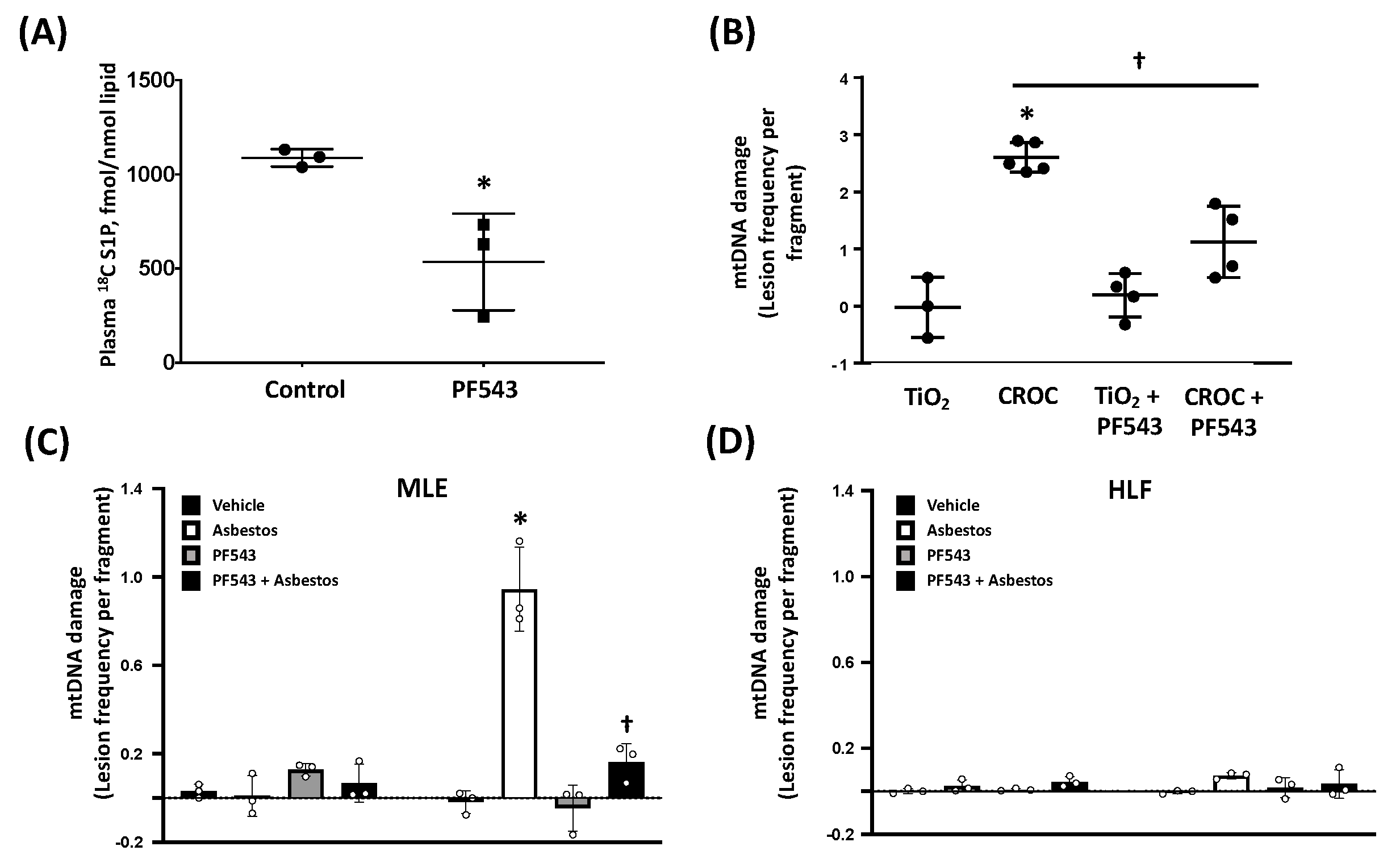 Ijms 21 05595 g006 Ijms 21 05595 g006