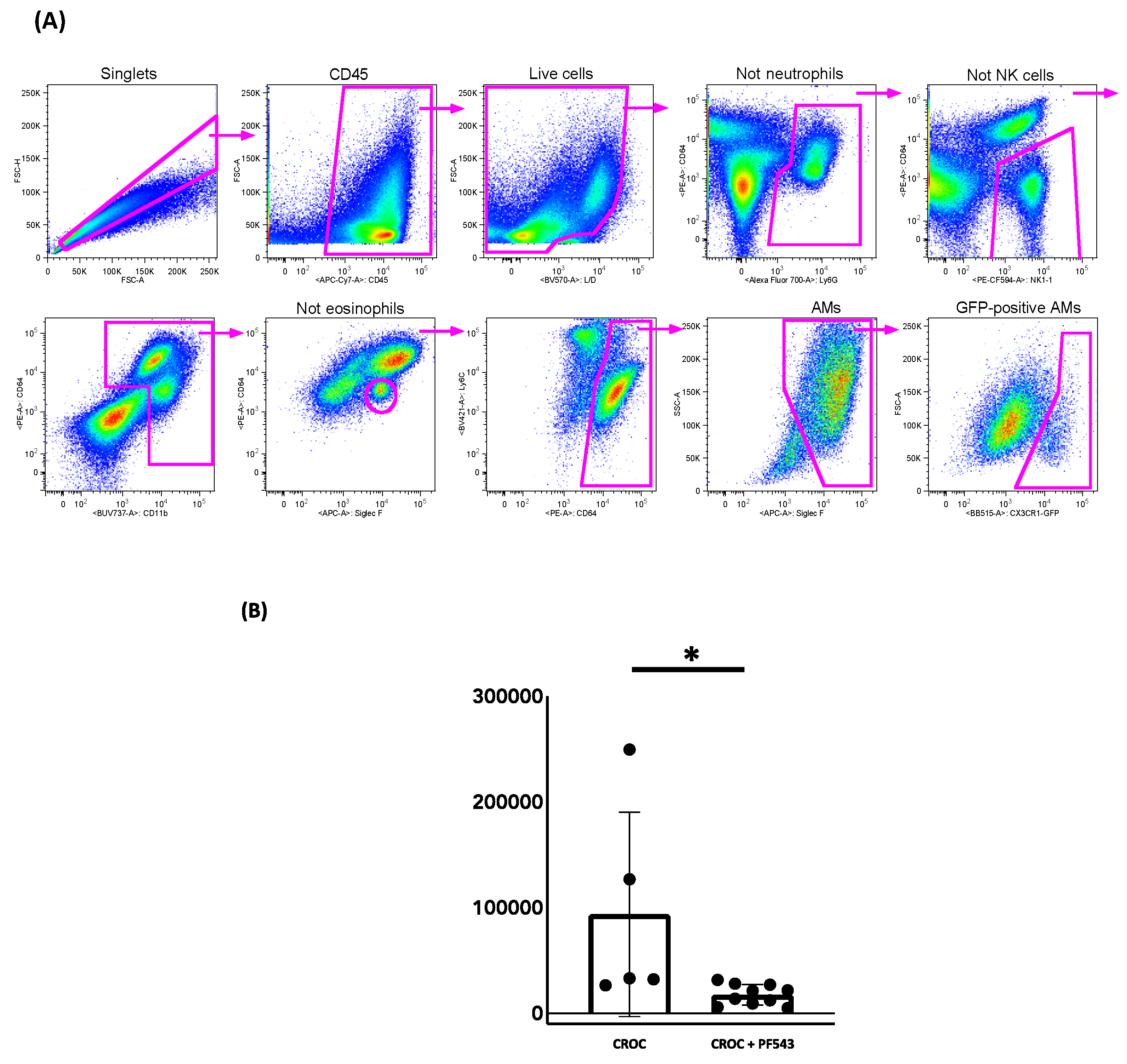 Ijms 21 05595 g007 Ijms 21 05595 g007