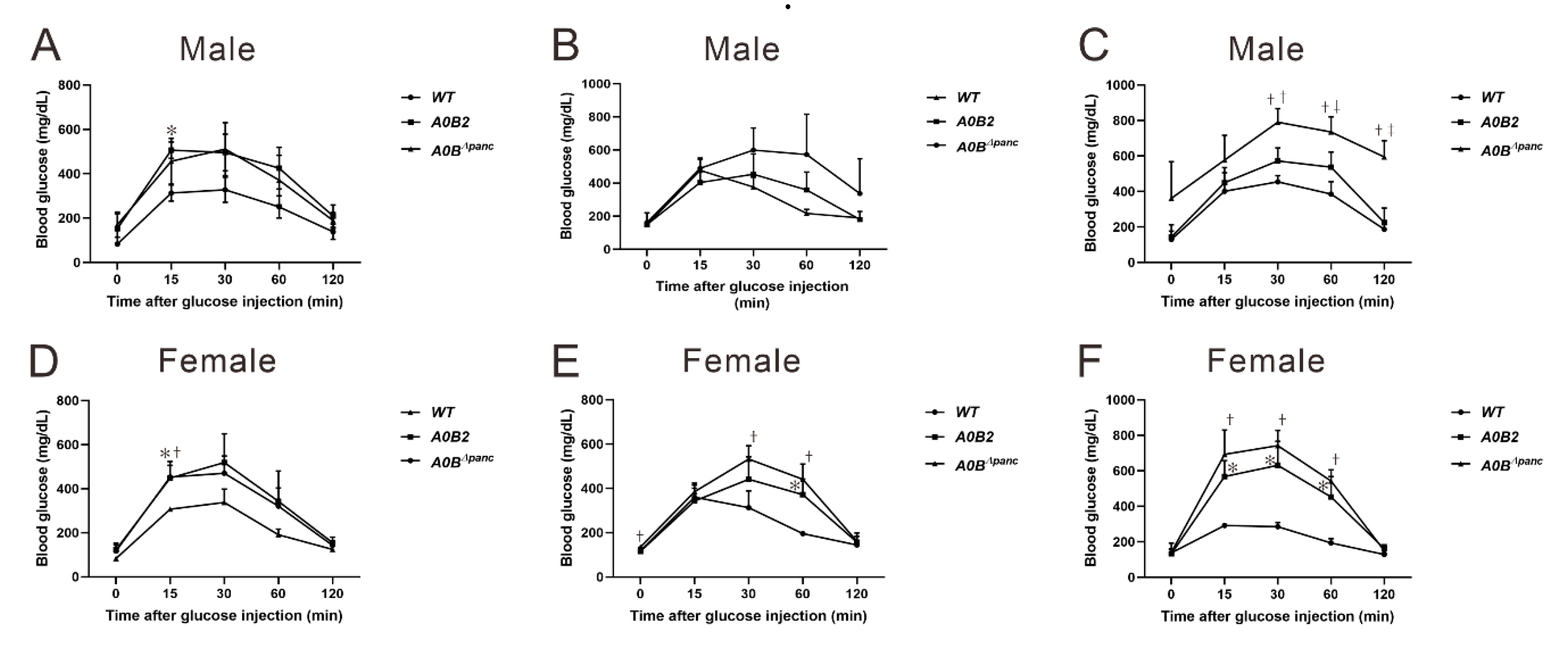 Ijms 21 05606 g002 Ijms 21 05606 g002