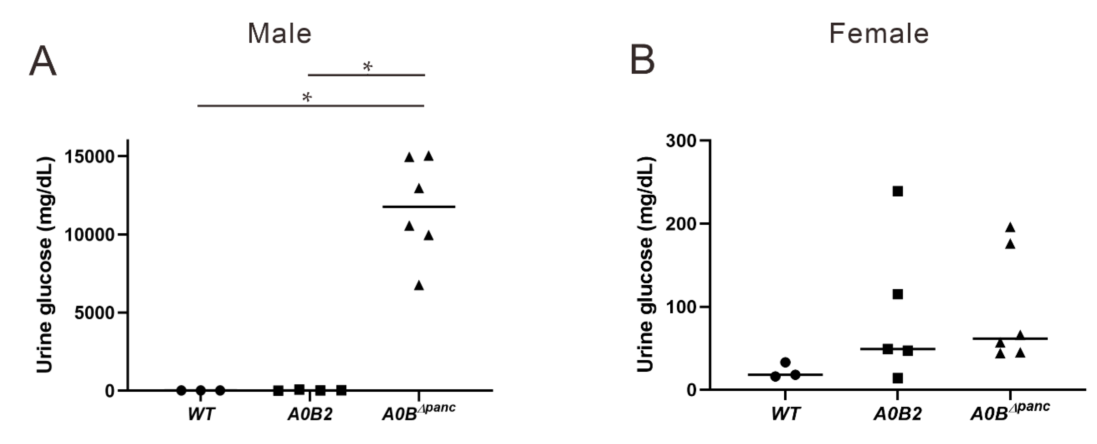 Ijms 21 05606 g003 Ijms 21 05606 g003