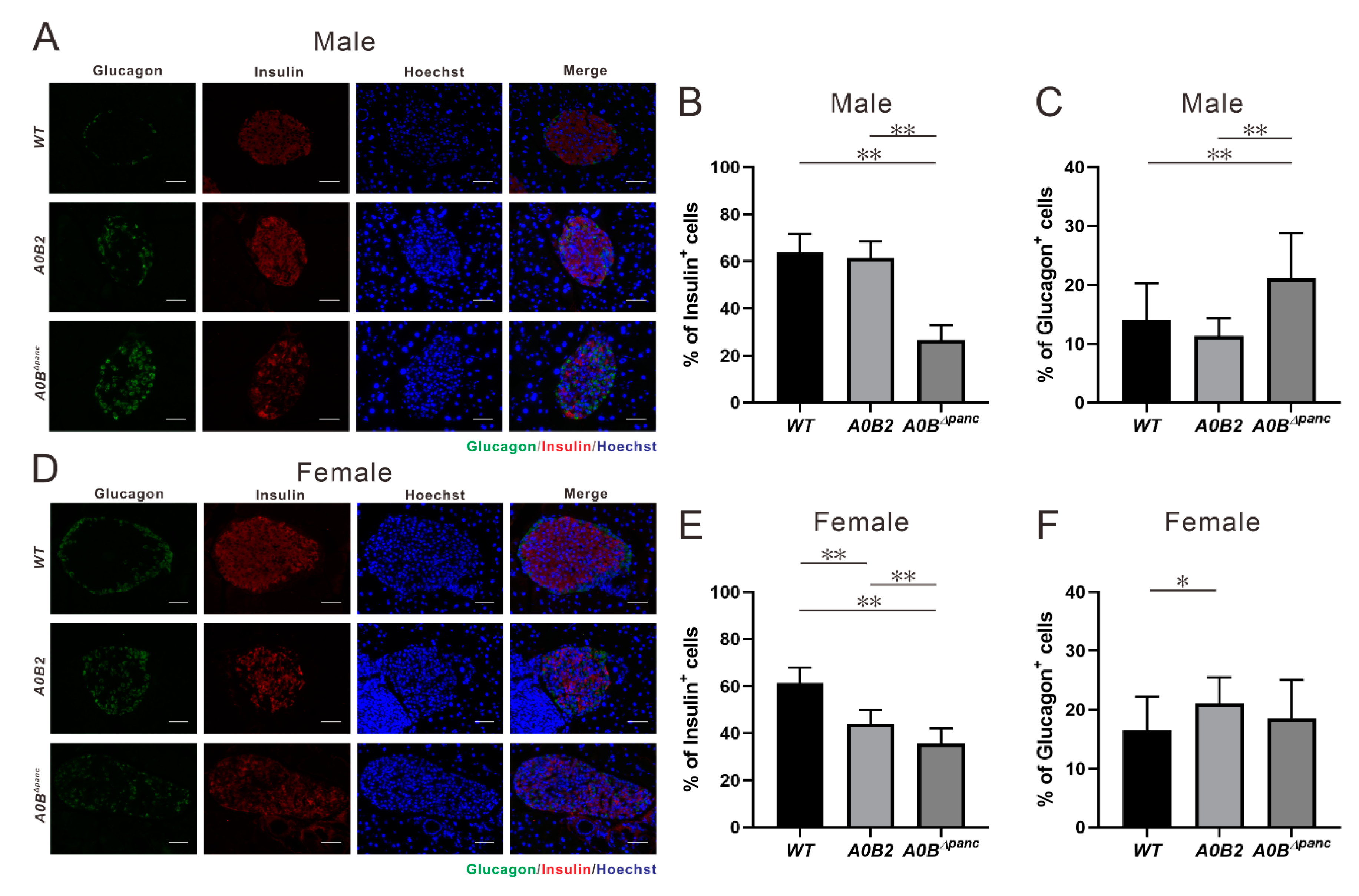 Ijms 21 05606 g006 Ijms 21 05606 g006