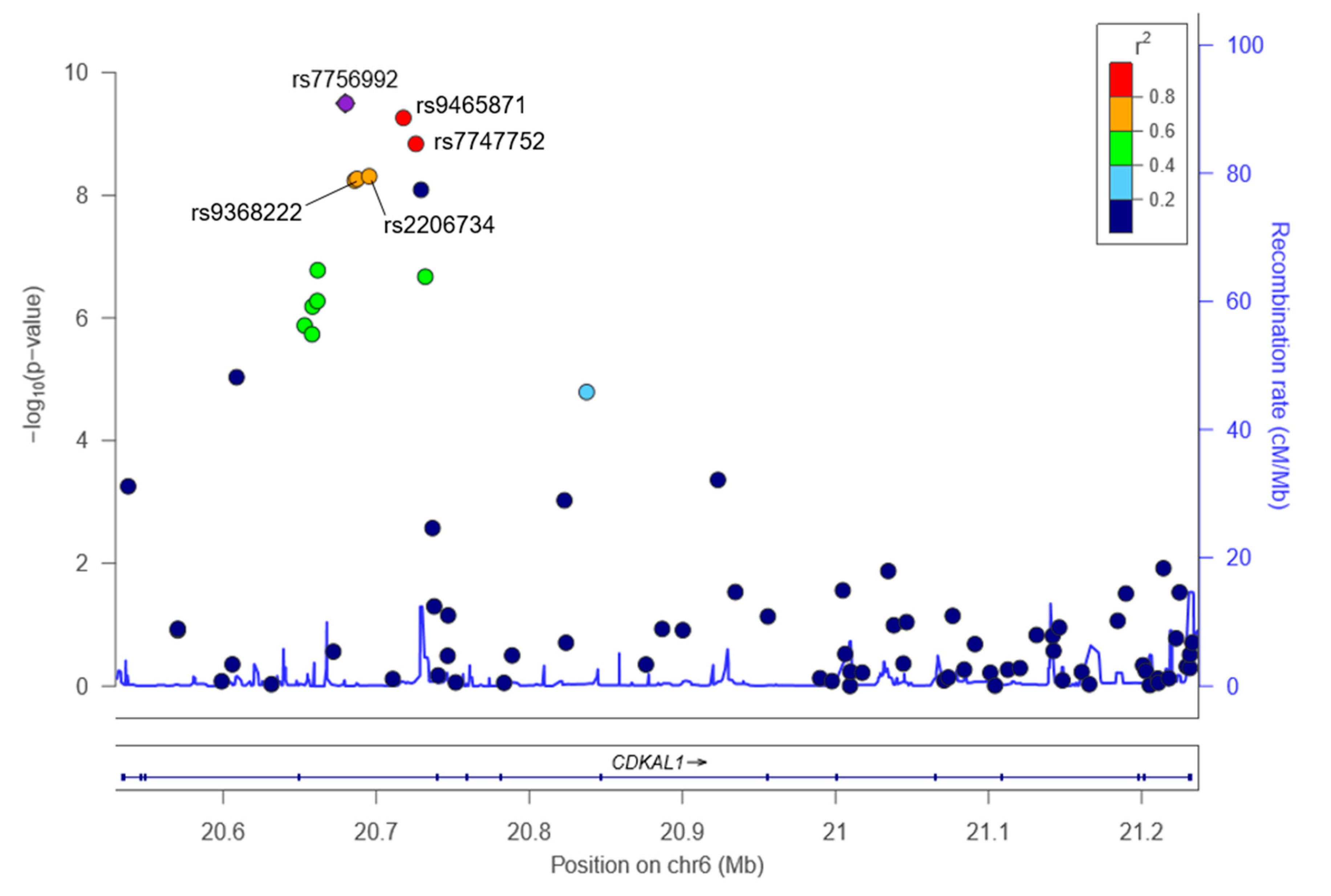 Ijms 21 05607 g001 Ijms 21 05607 g001