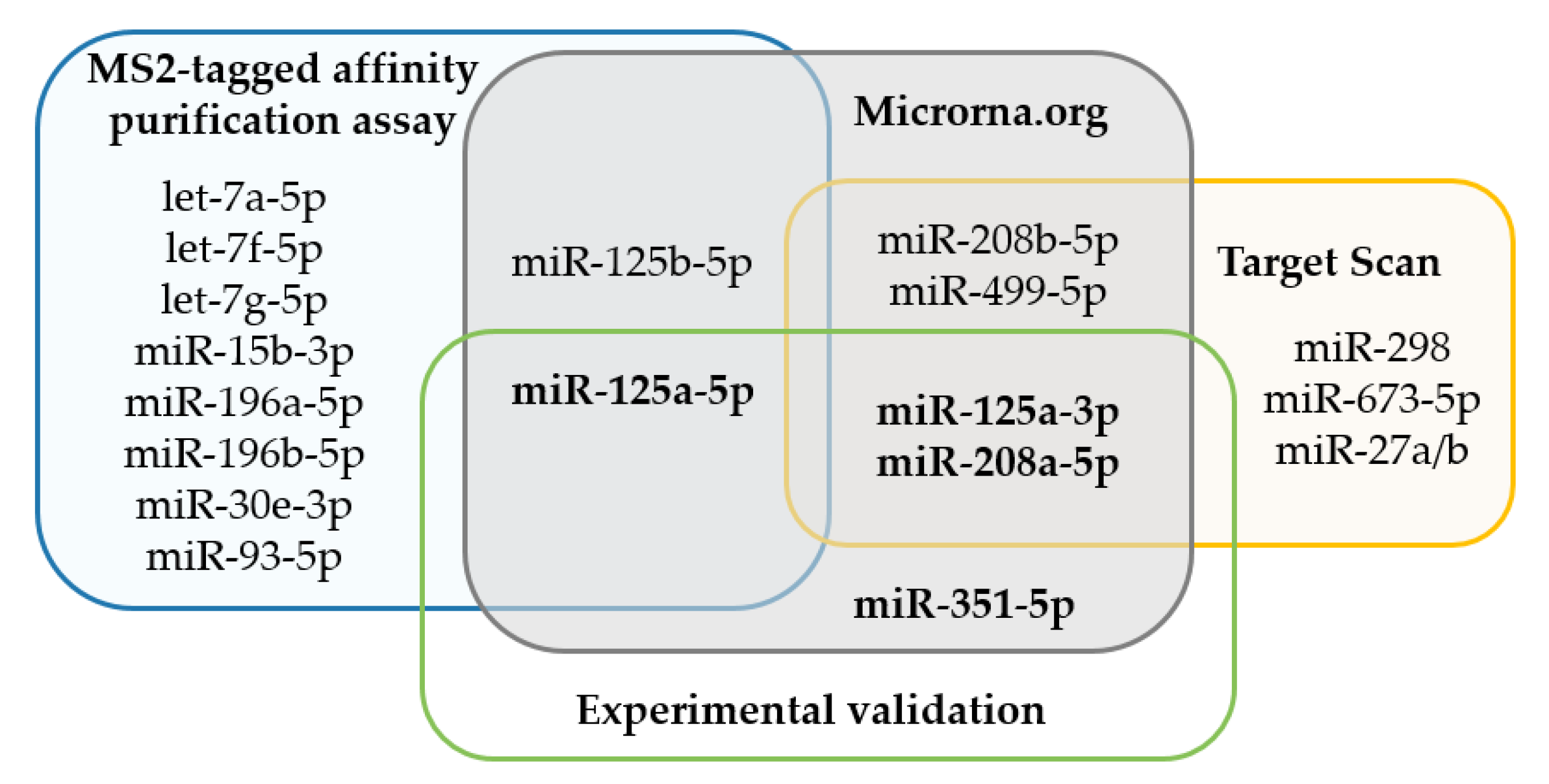 Ijms 21 05621 g004 Ijms 21 05621 g004