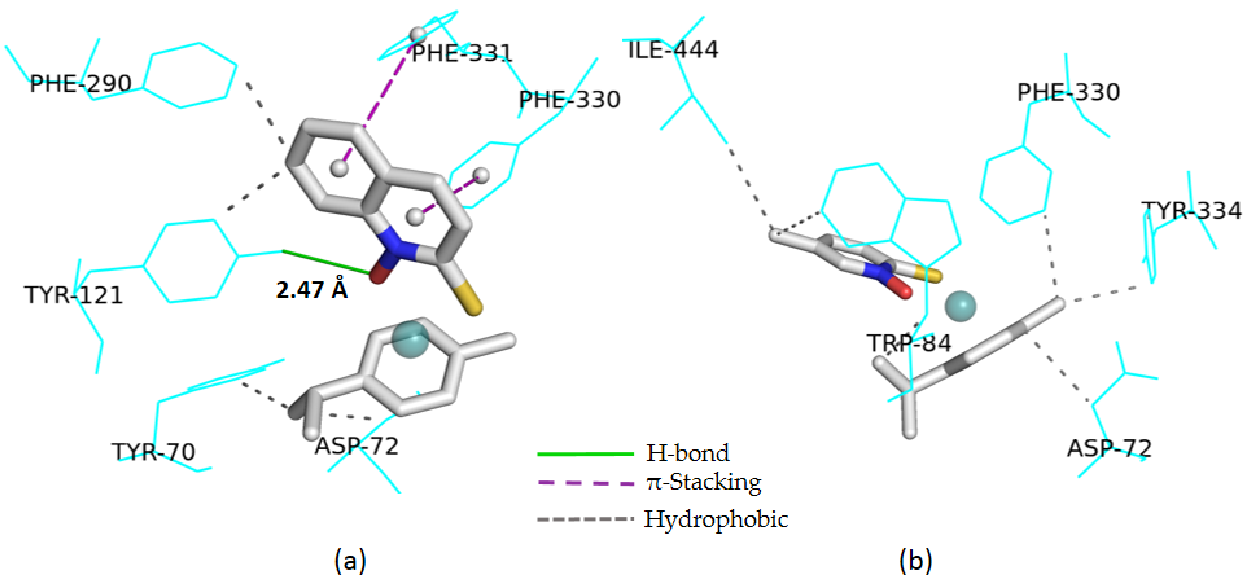 Ijms 21 05628 g003 Ijms 21 05628 g003