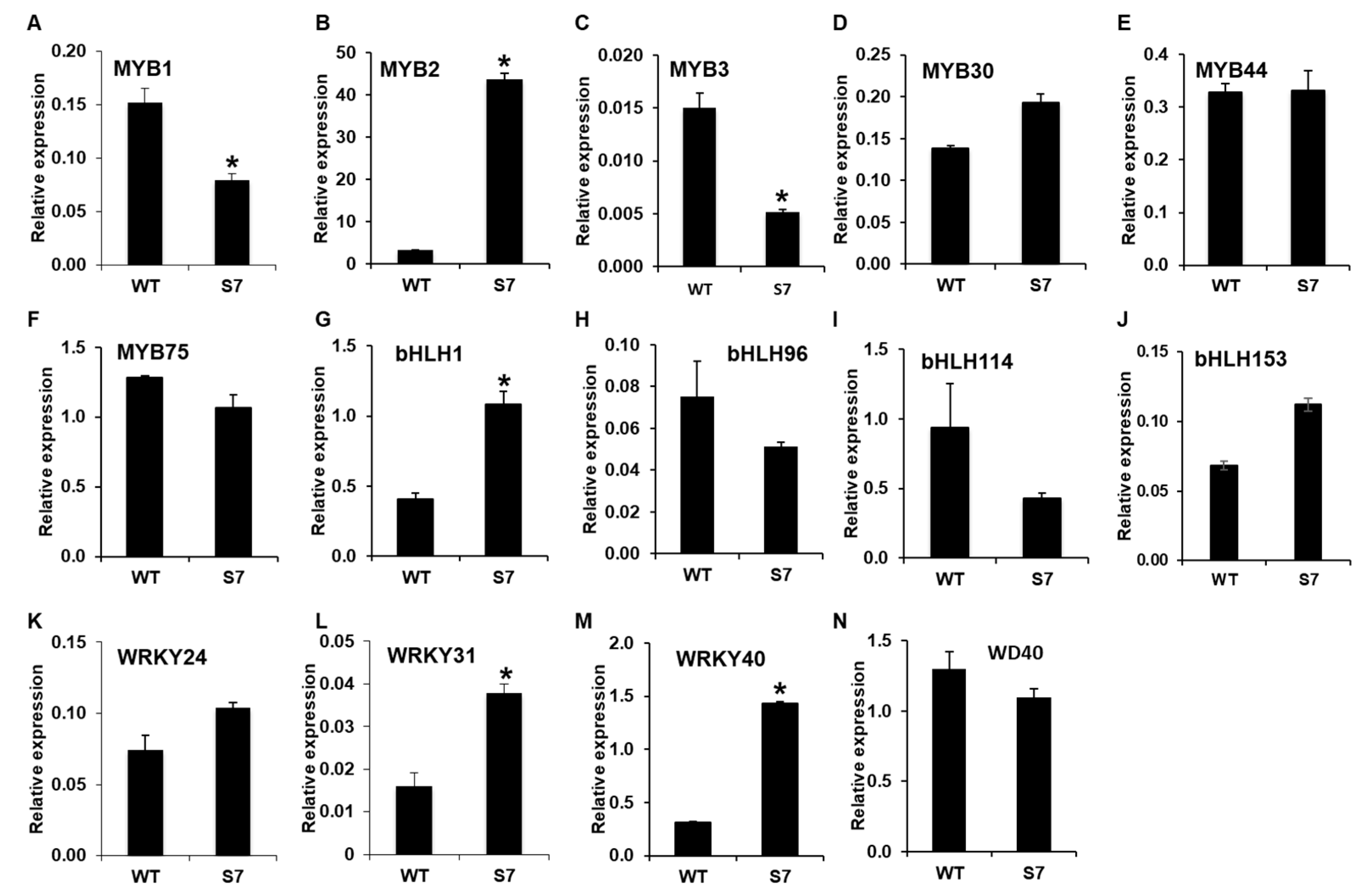 Ijms 21 05653 g006 Ijms 21 05653 g006