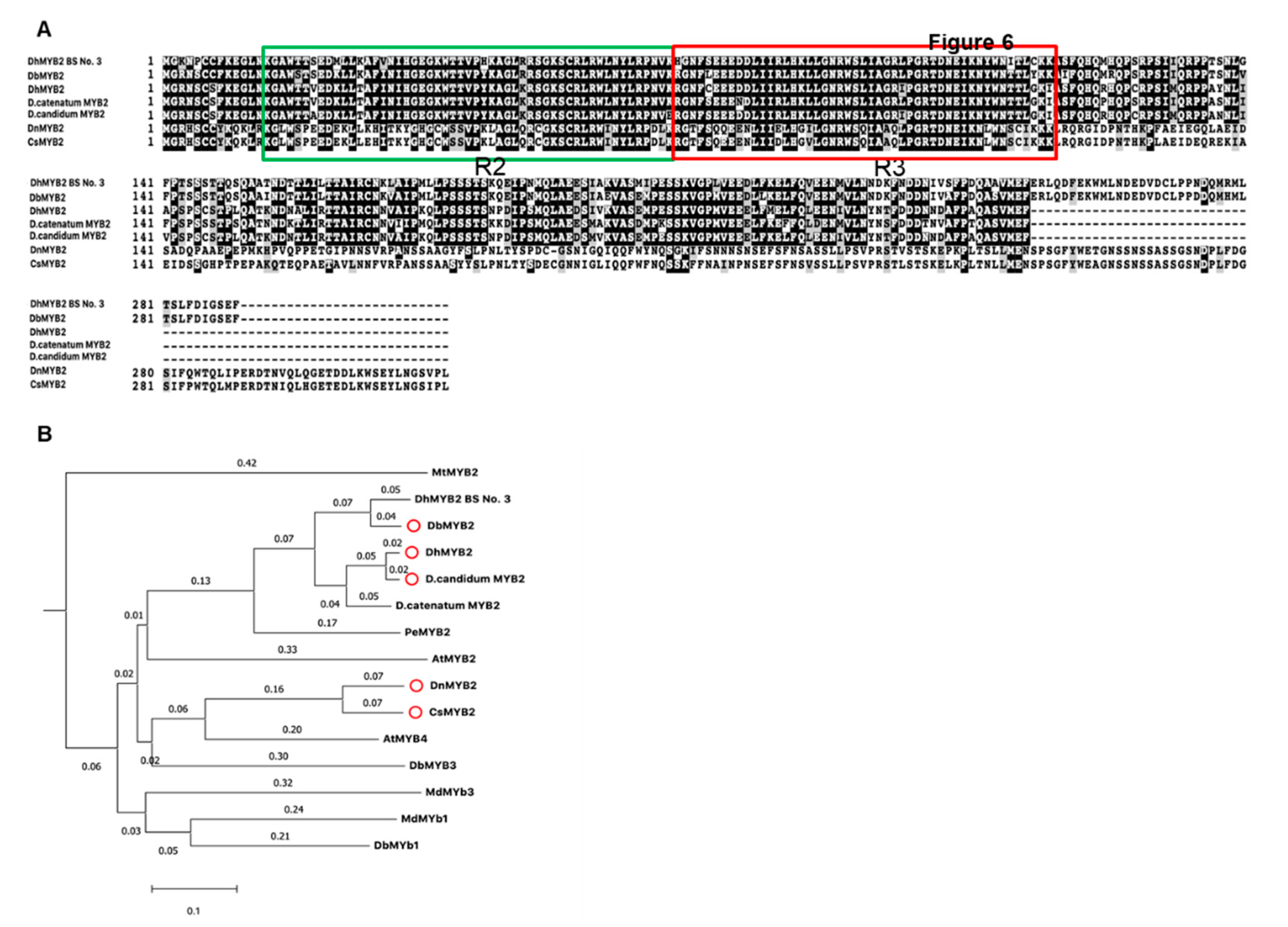Ijms 21 05653 g007 Ijms 21 05653 g007