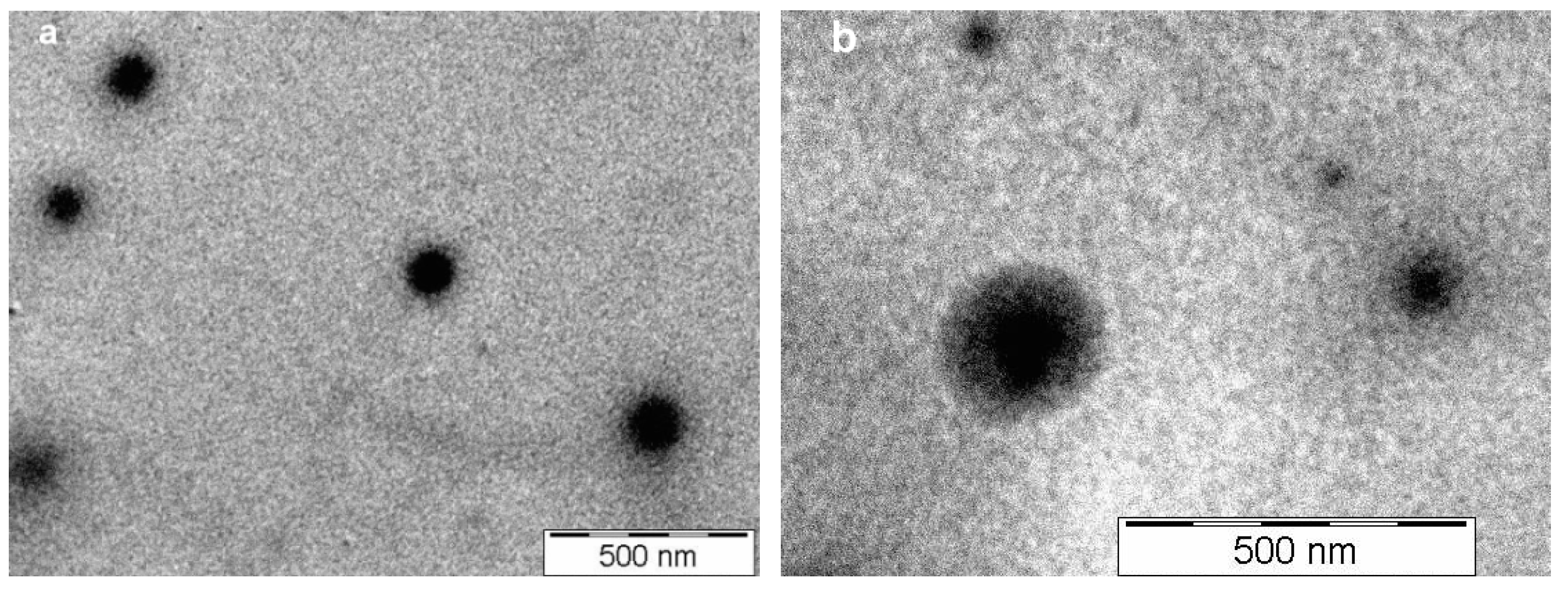 Ijms 21 05659 g005 Ijms 21 05659 g005