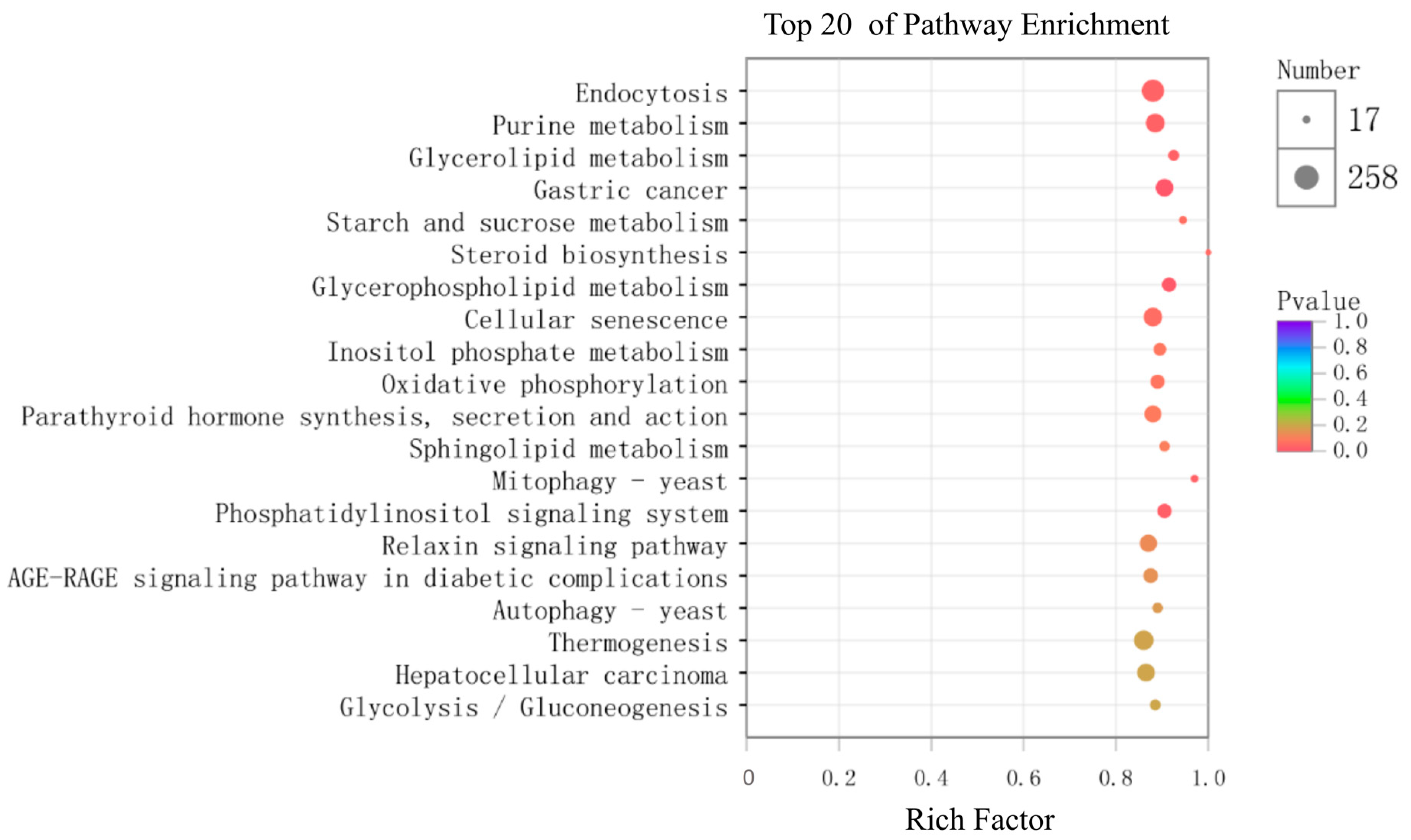Ijms 21 05690 g007 Ijms 21 05690 g007