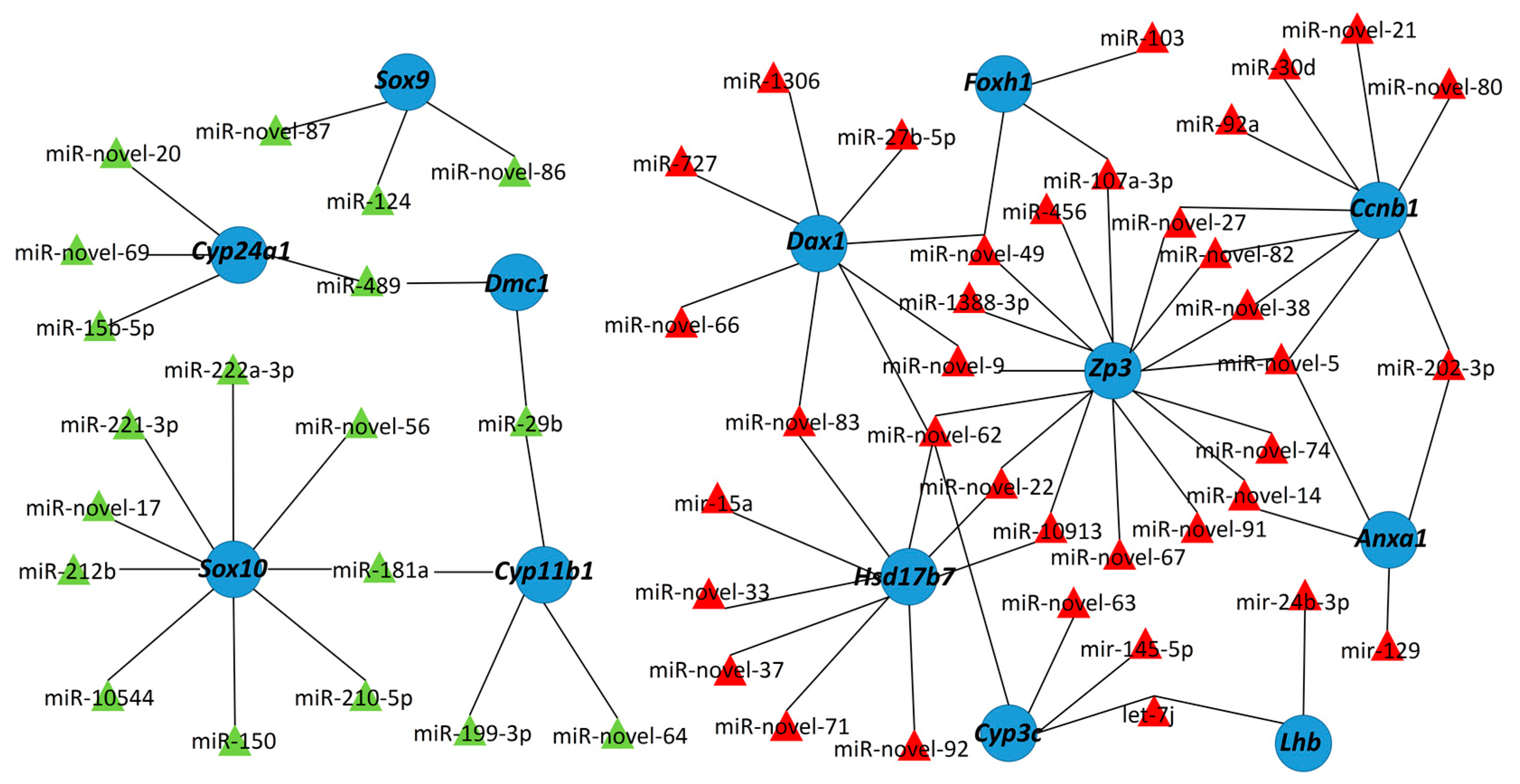 Ijms 21 05690 g008 Ijms 21 05690 g008
